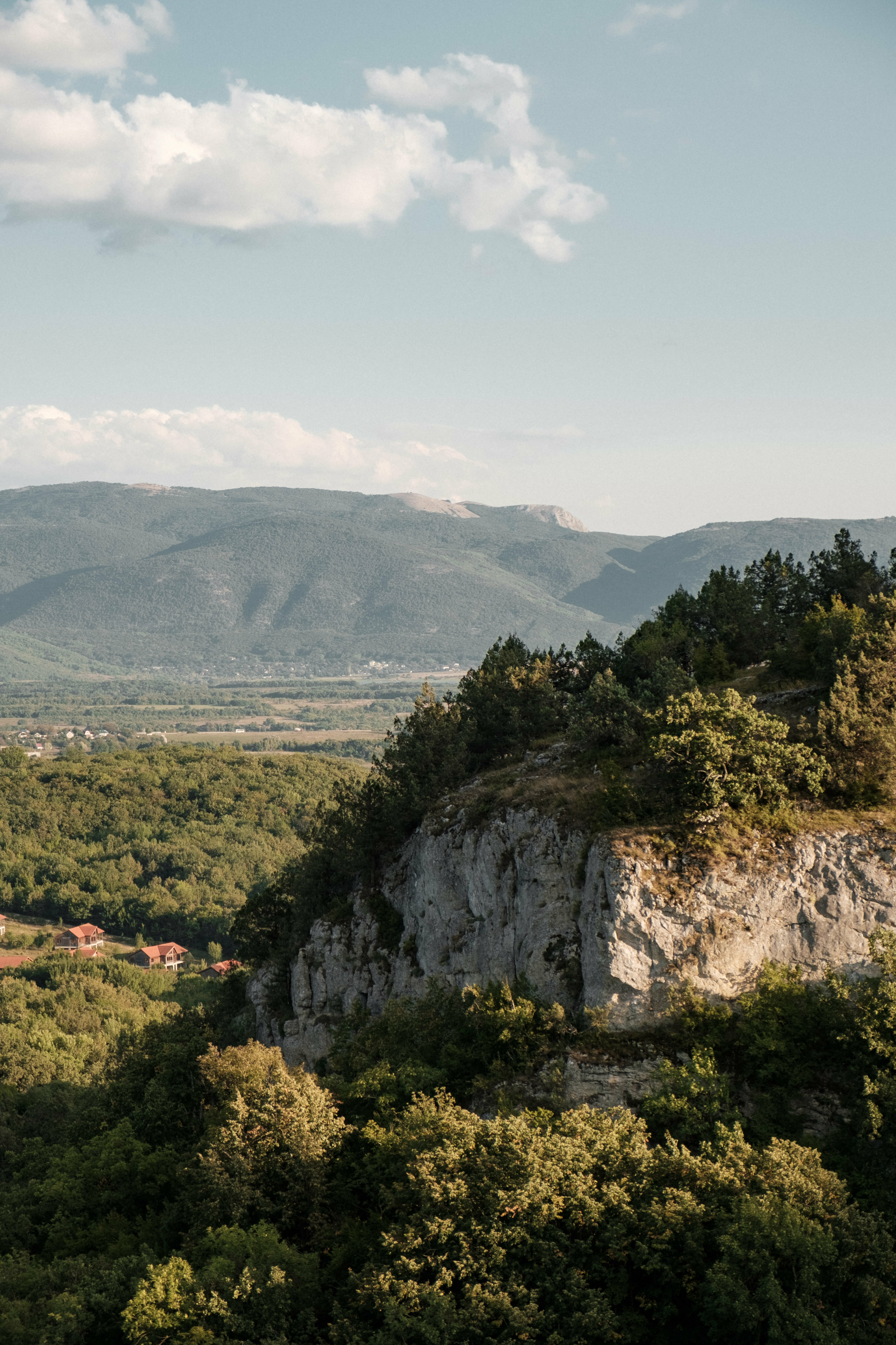 Дом с видом на лес