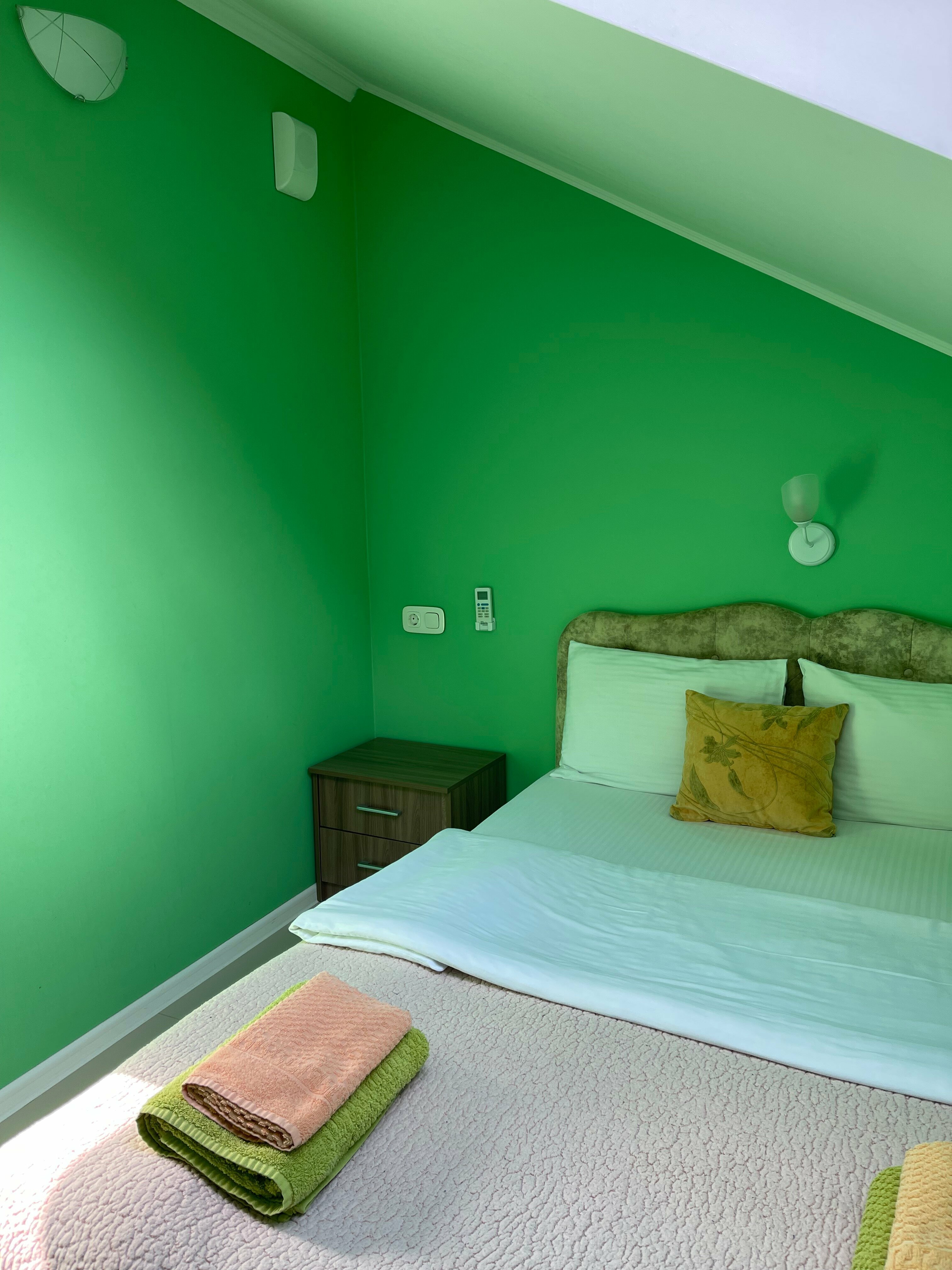 Двухместный номер с 1 кроватью