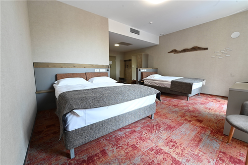 Улучшенный двухместный номер с 2 отдельными кроватями