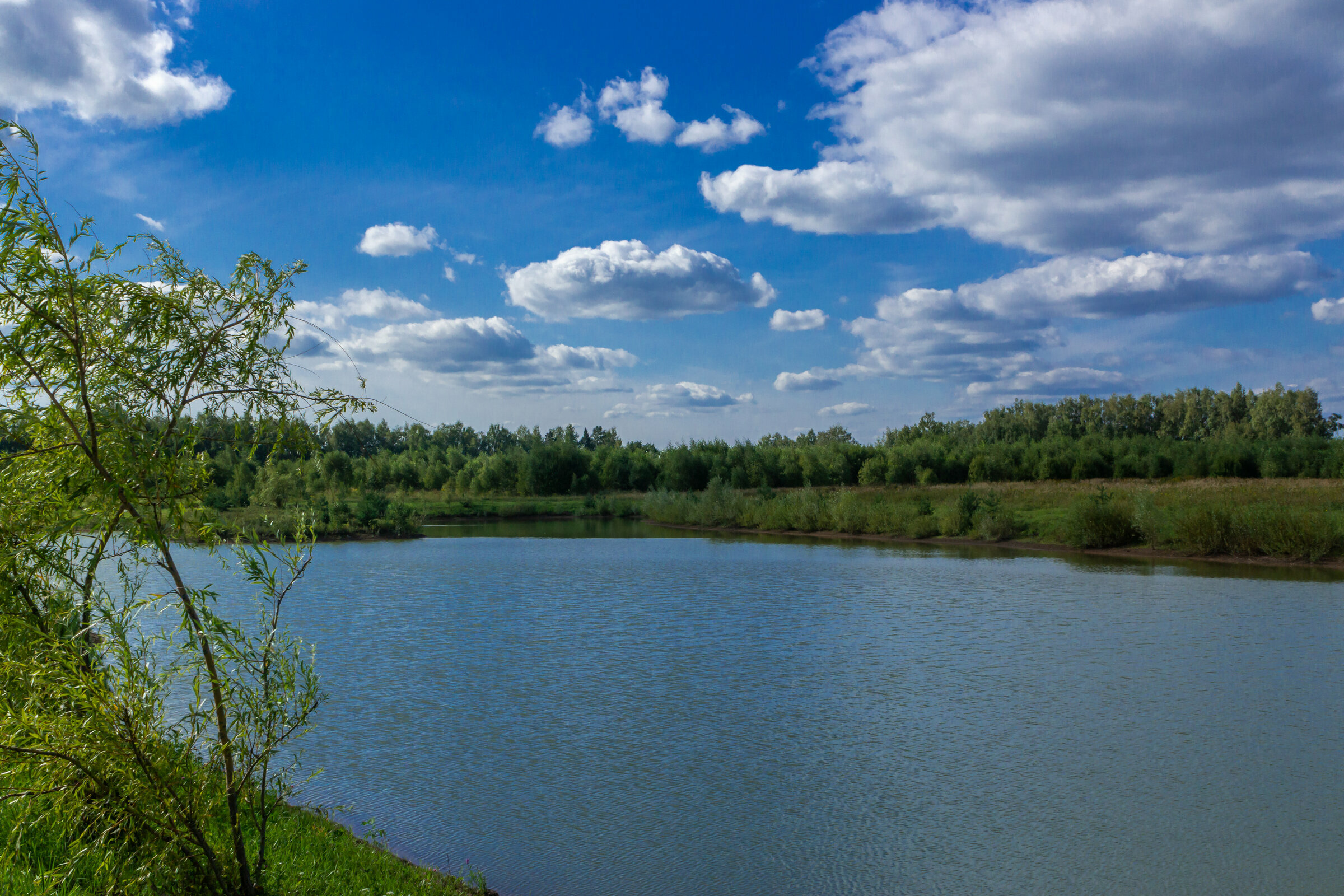 Роскошный четырехместный номер