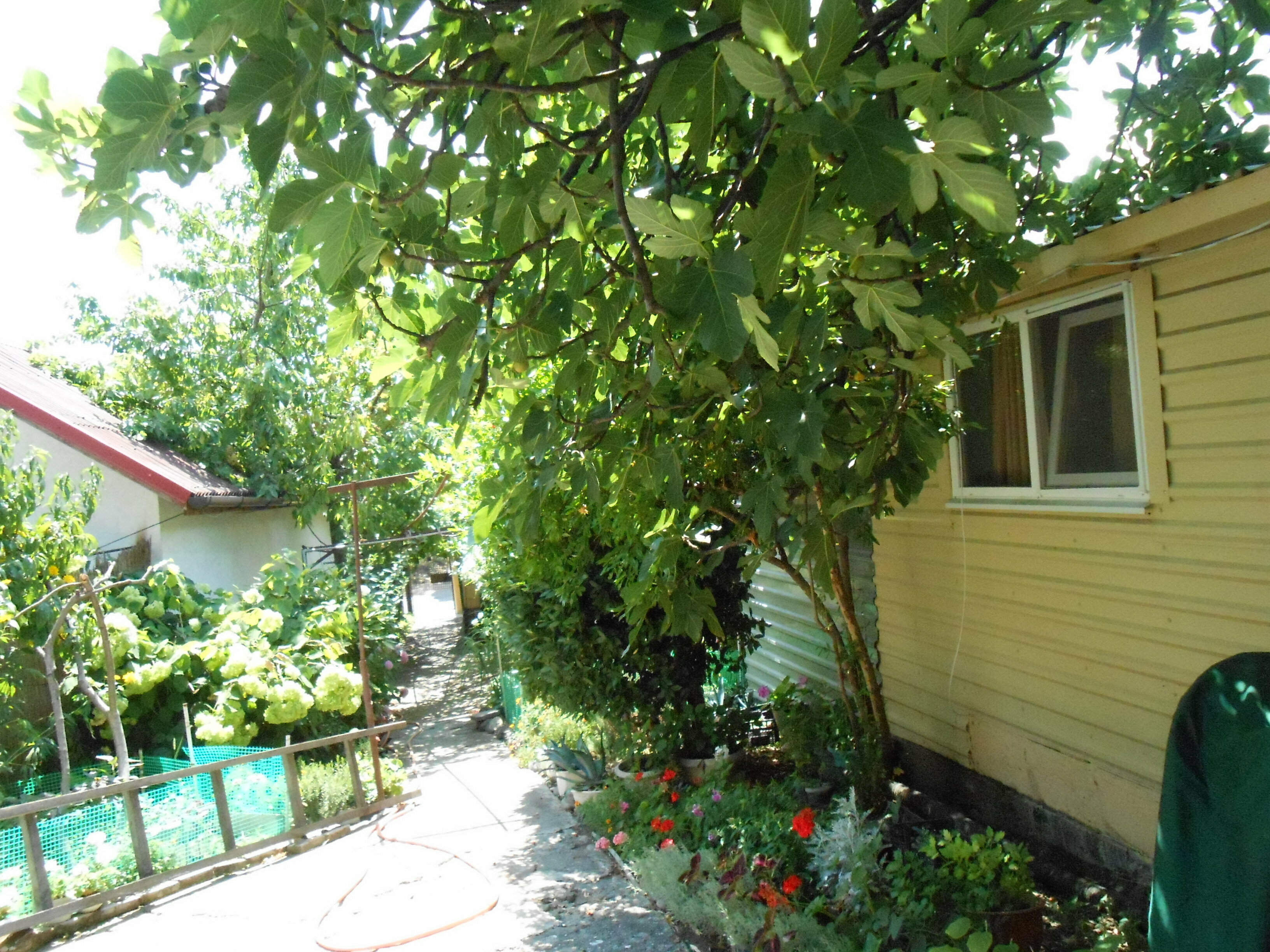 Cемейный номер с собственной ванной комнатой