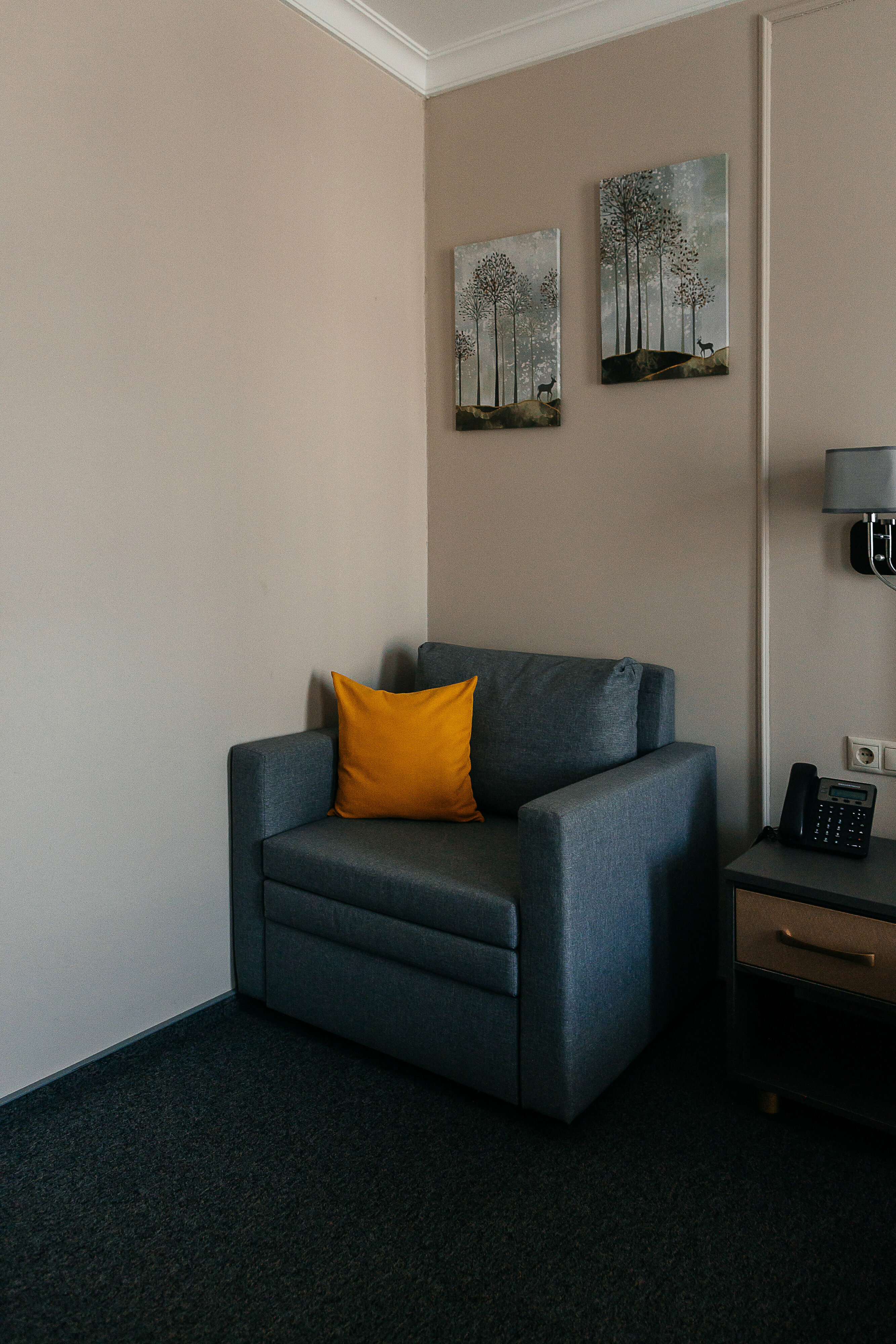 Двухместный номер с 1 кроватью или 2 отдельными кроватями