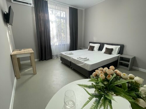 Двухместный номер Делюкс с 1 кроватью или 2 отдельными кроватями