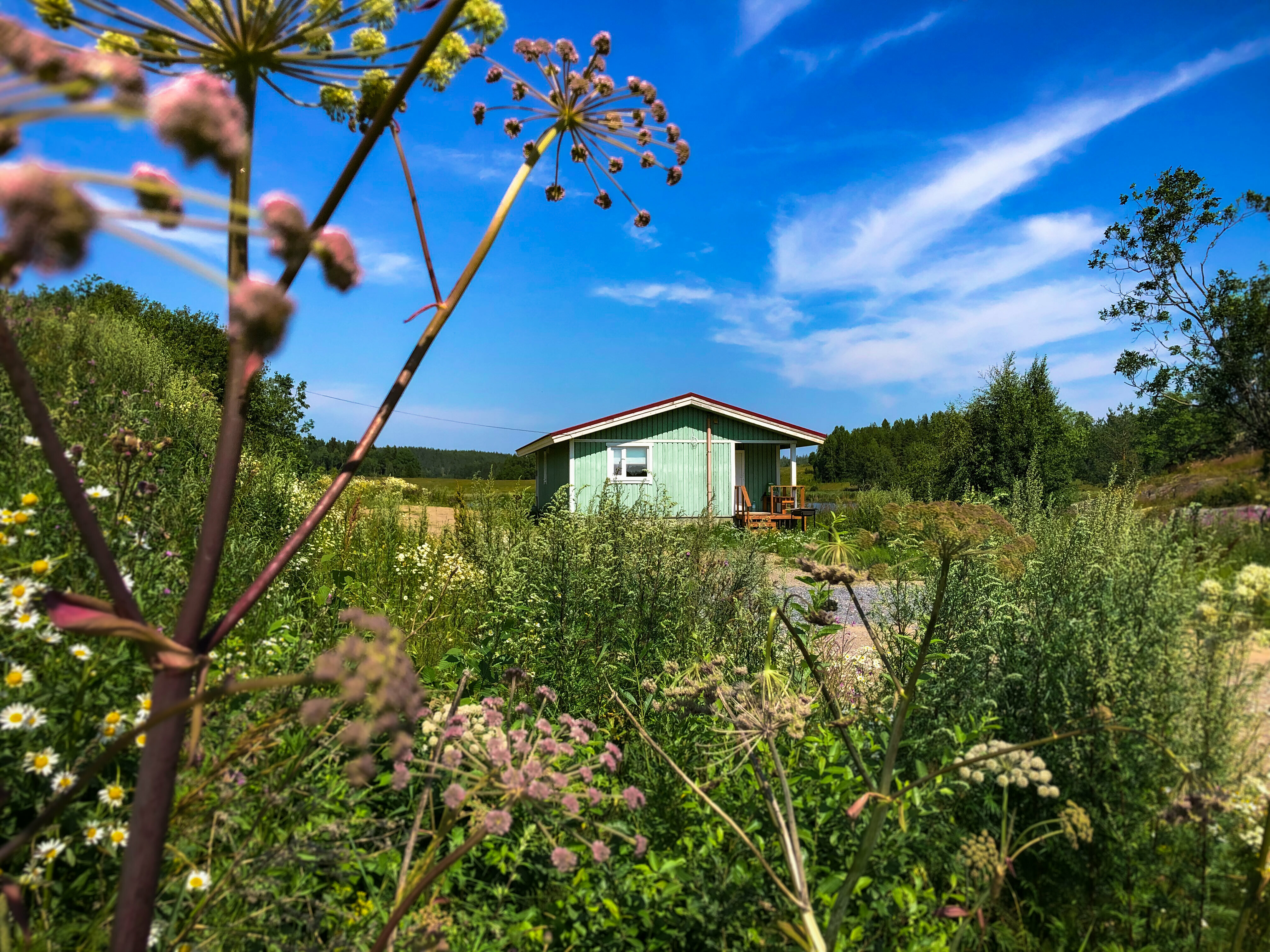 Трехместный номер с террасой