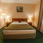 Номер стандарт с 1 двуспальной кроватью в Шаляпин Палас Отель