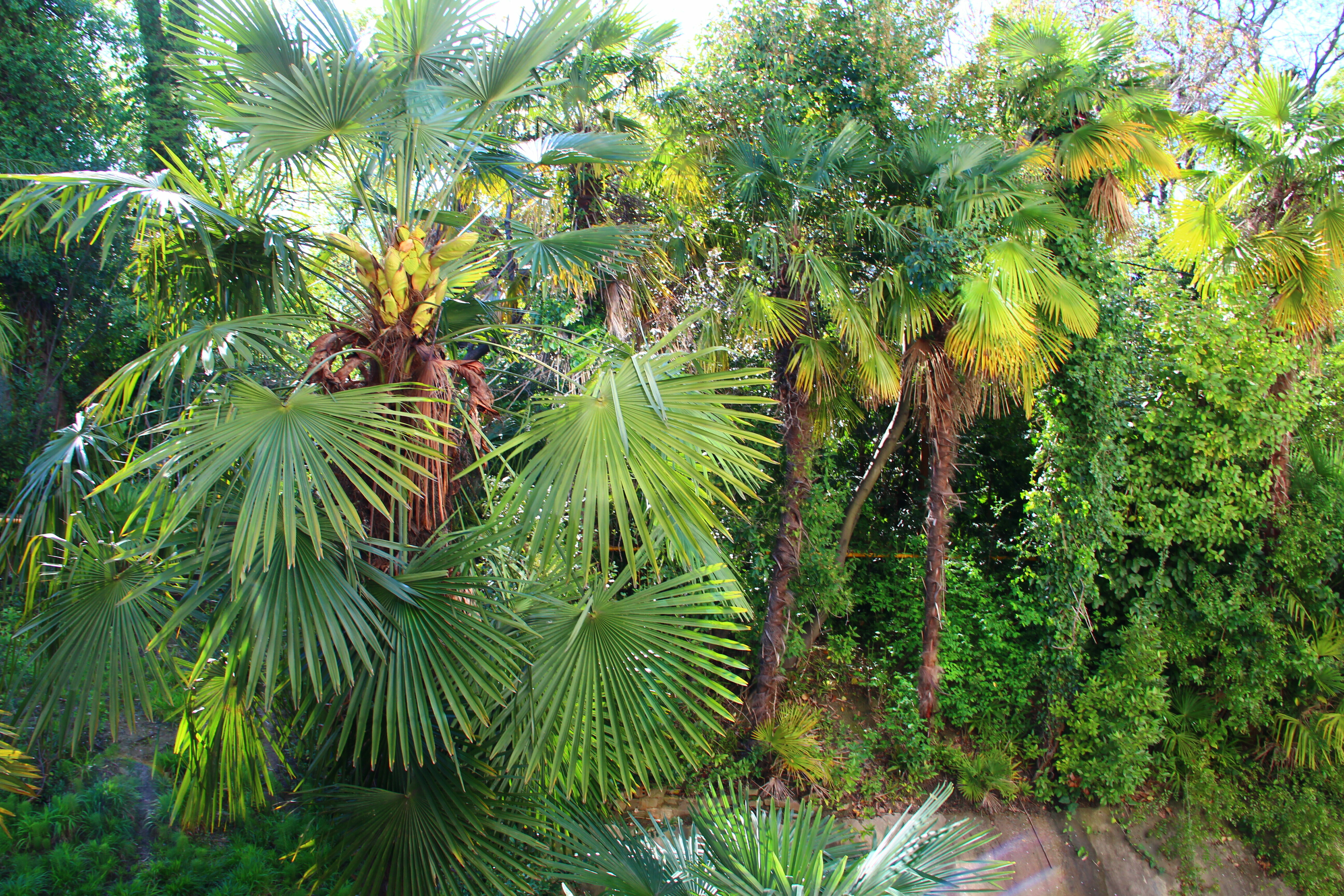 Четырехместный номер с видом на сад