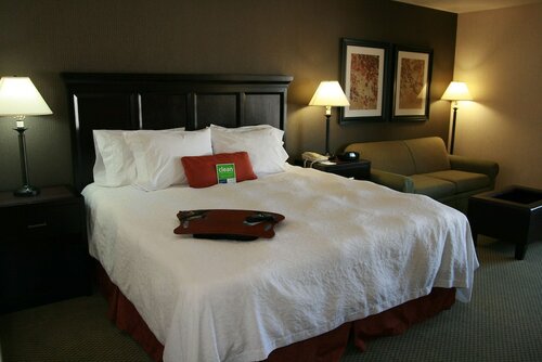 Номер, 1 двуспальная кровать «Кинг-сайз», для некурящих в Hampton Inn Salt Lake City - Murray