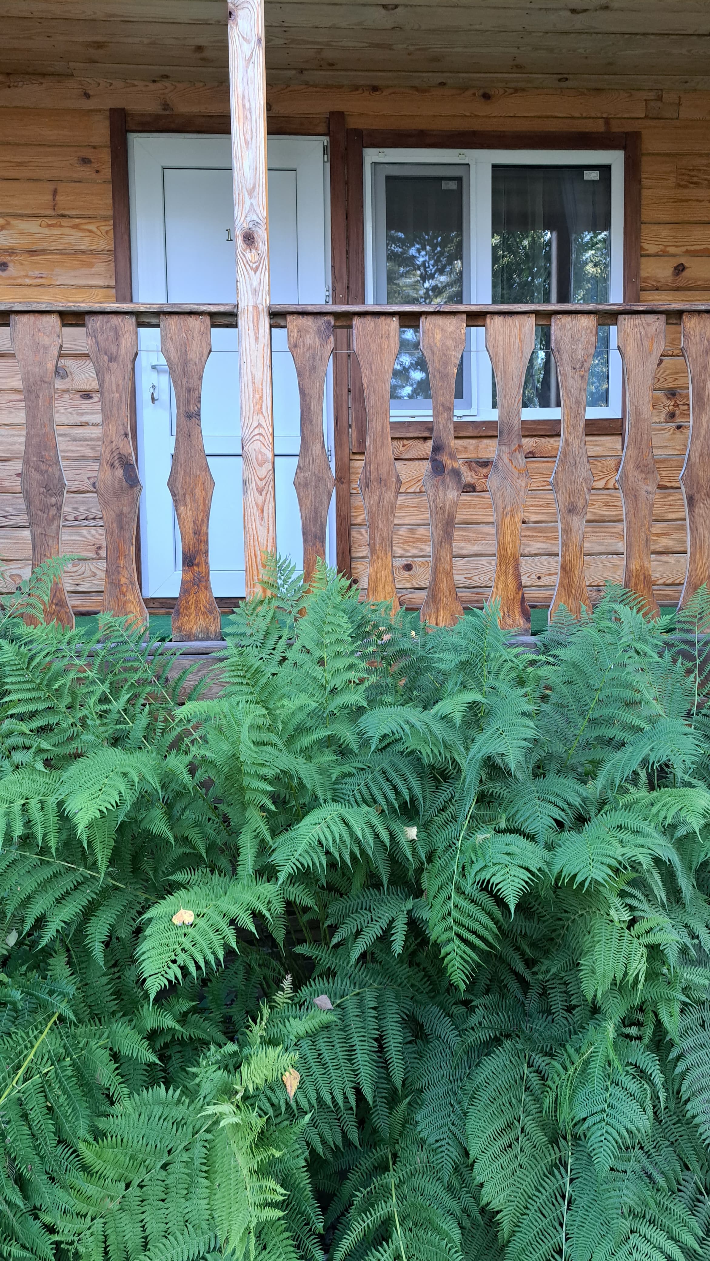 Трехместный номер с душем