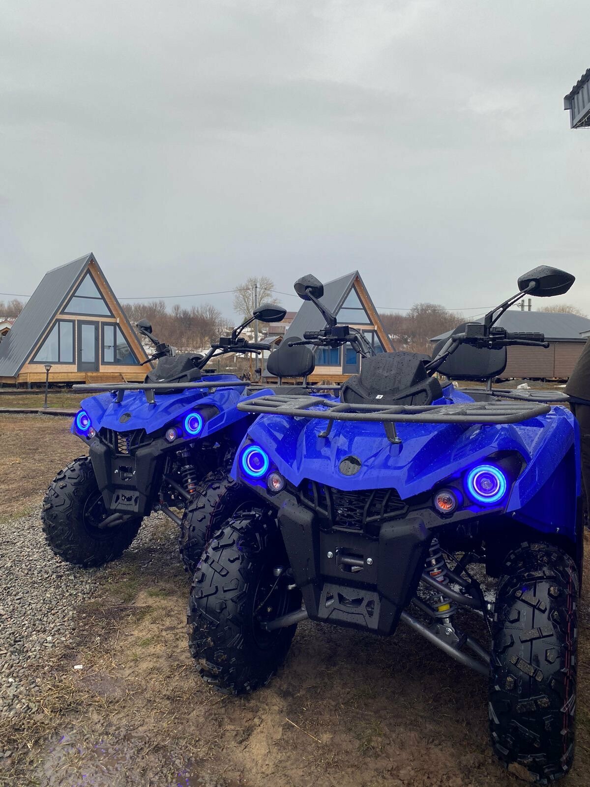 Зеленый дом