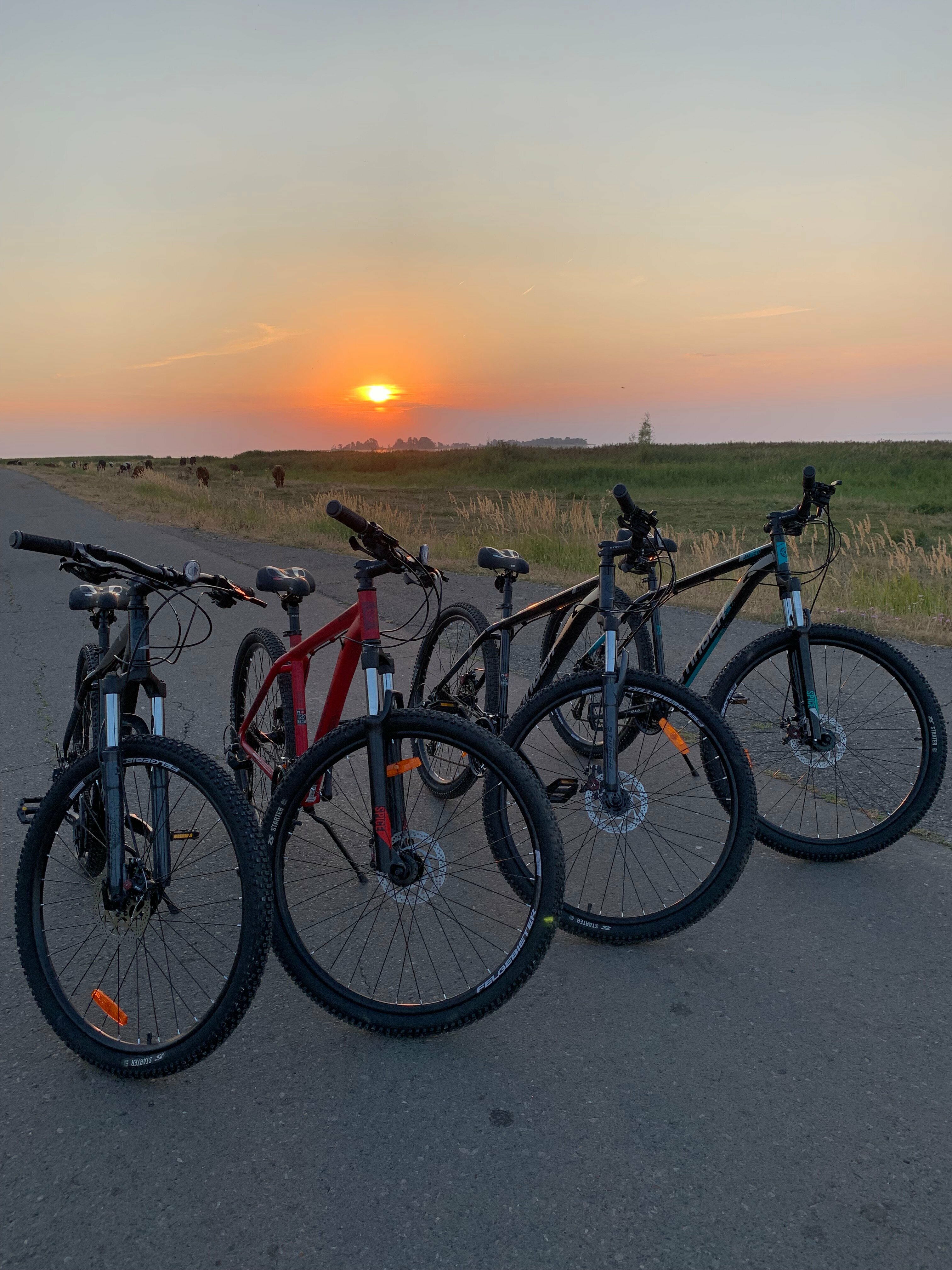 Треугольный дом