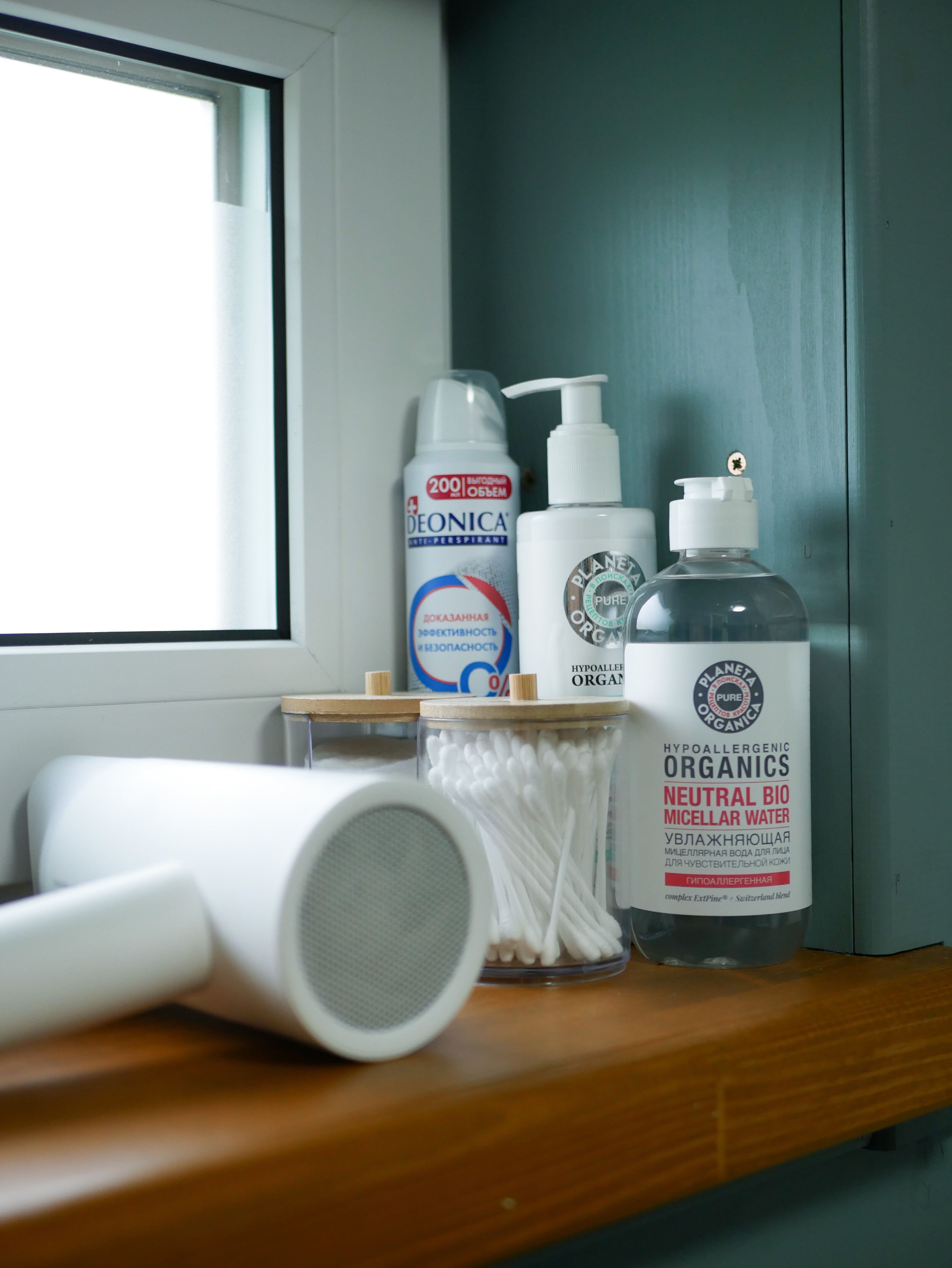 Дом с видом на лес