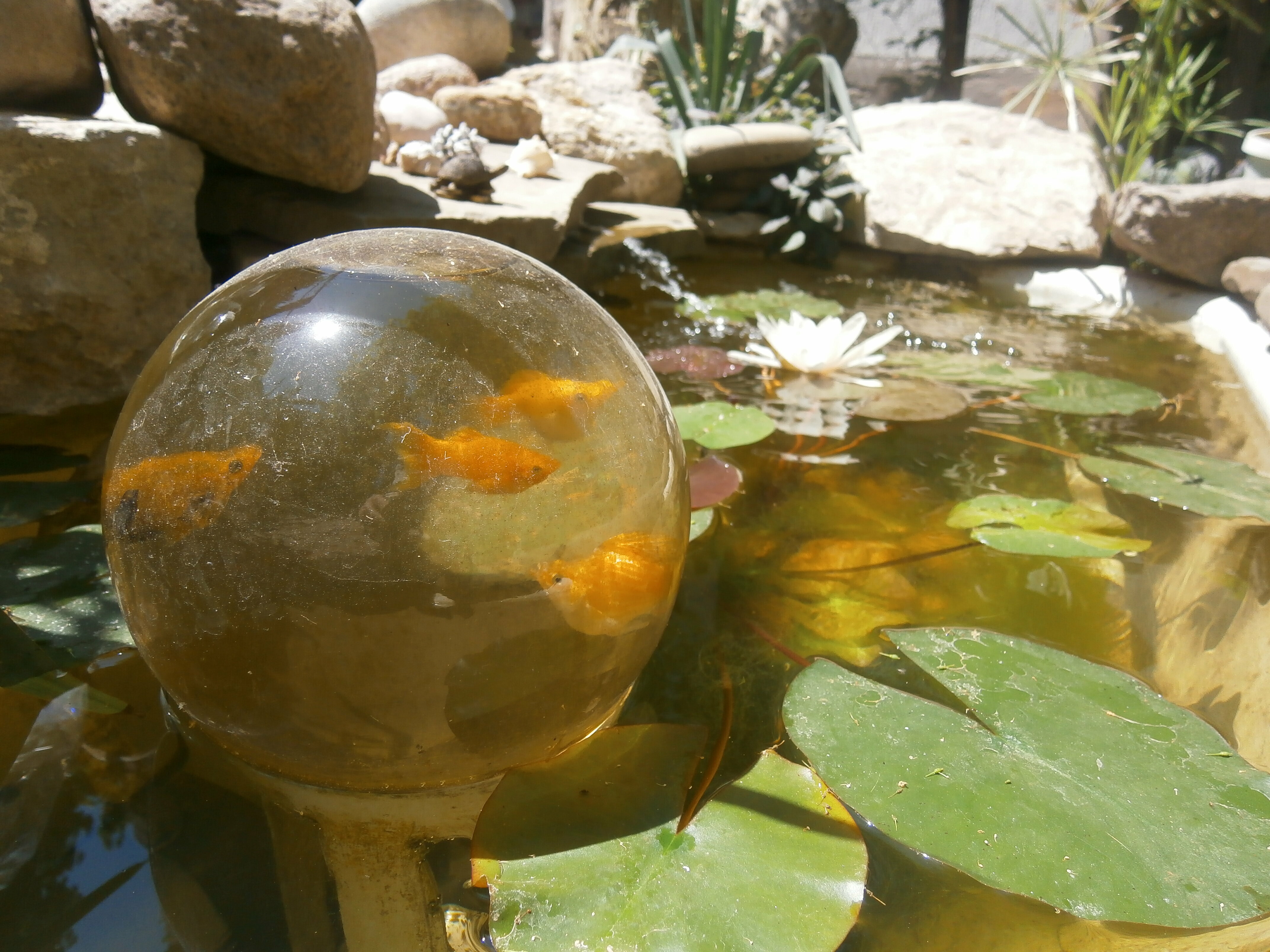 Трехместный номер «Комфорт» с душем