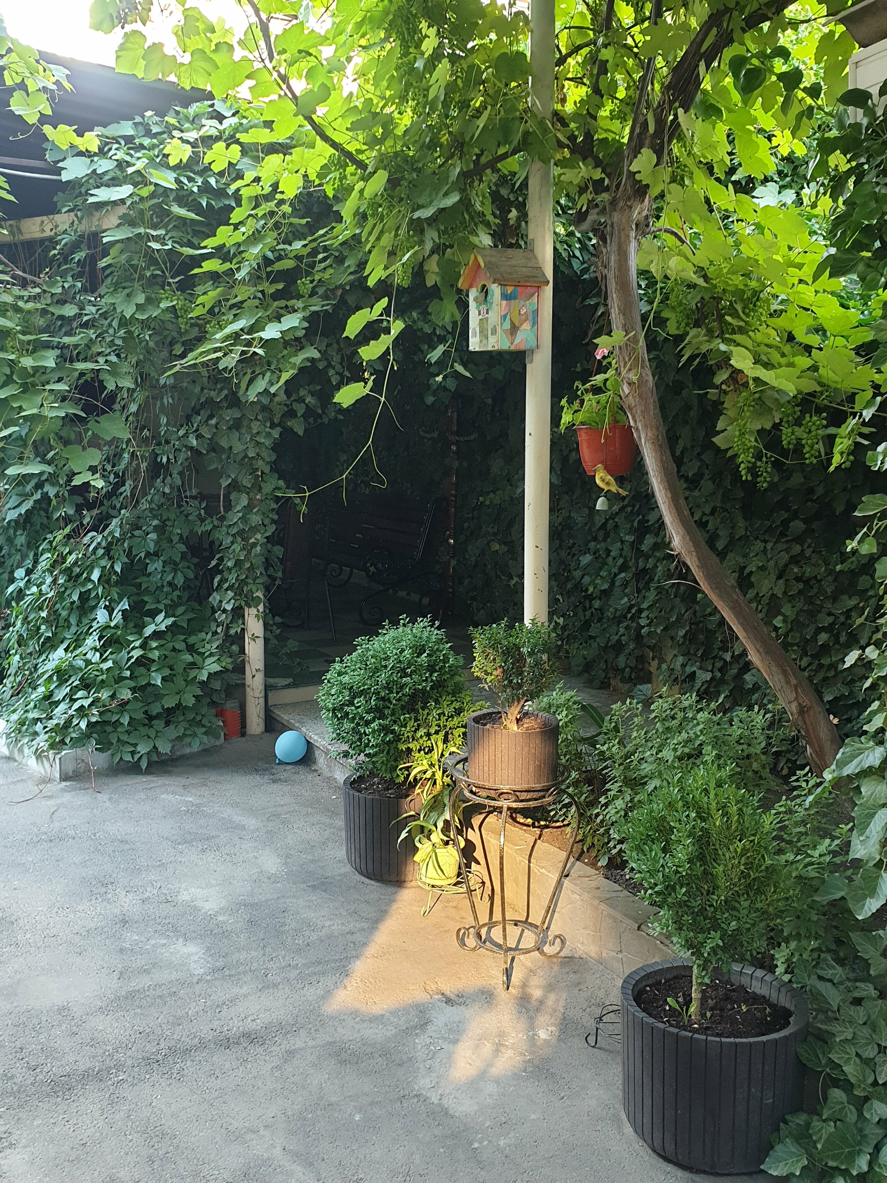 Двухместный номер с 1 кроватью