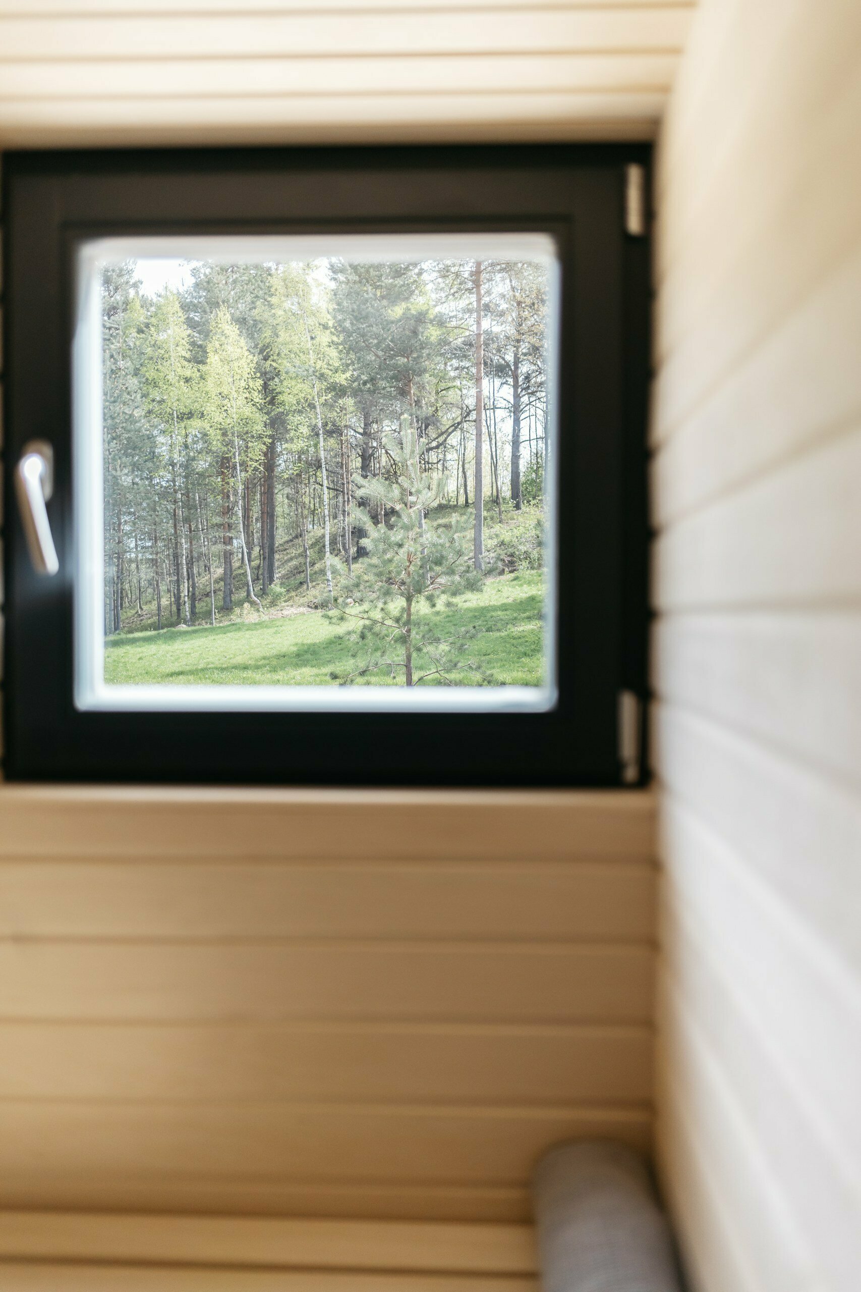 Дом с панорамными окнами и видом на лес