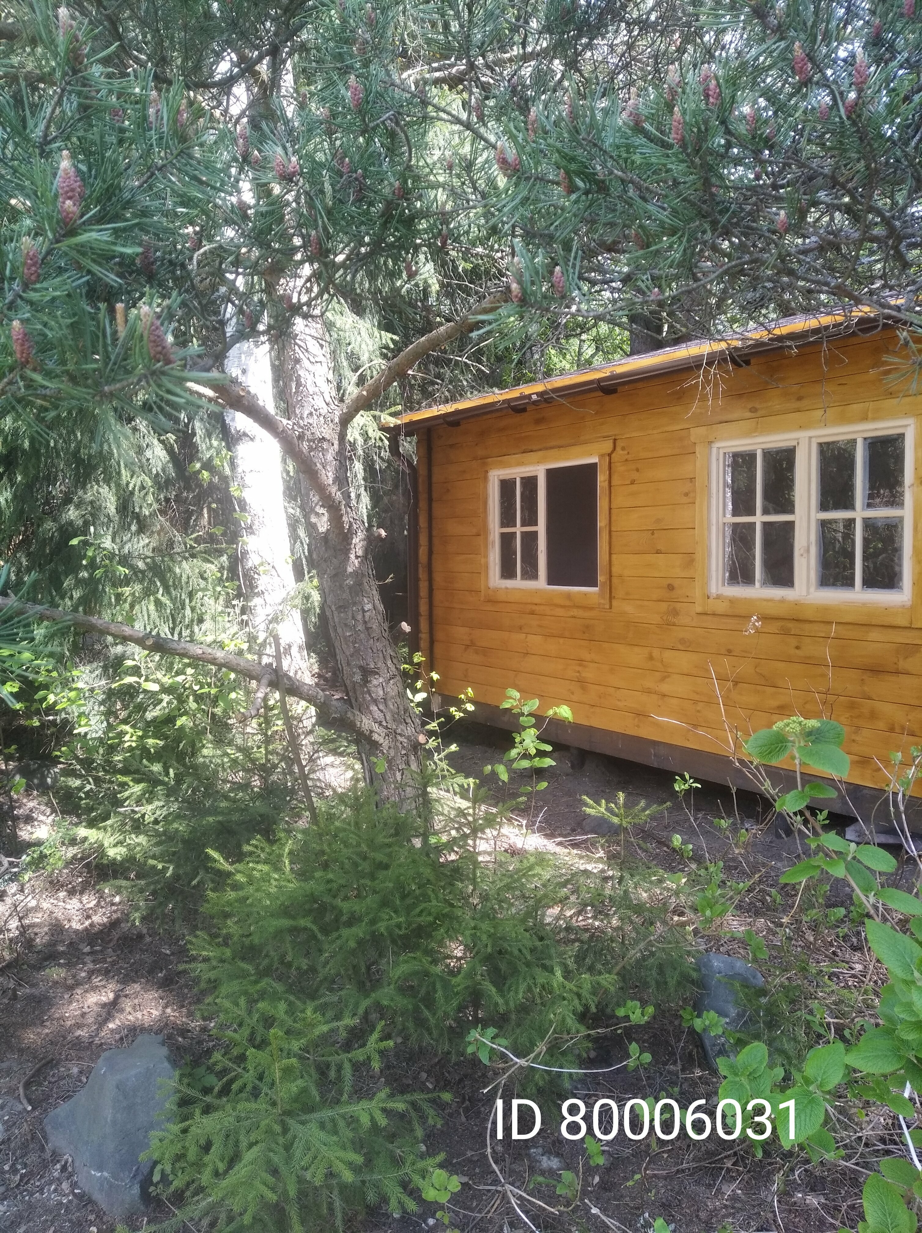 Трехместный номер с террасой