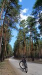 Улучшенный четырехместный номер в Соты