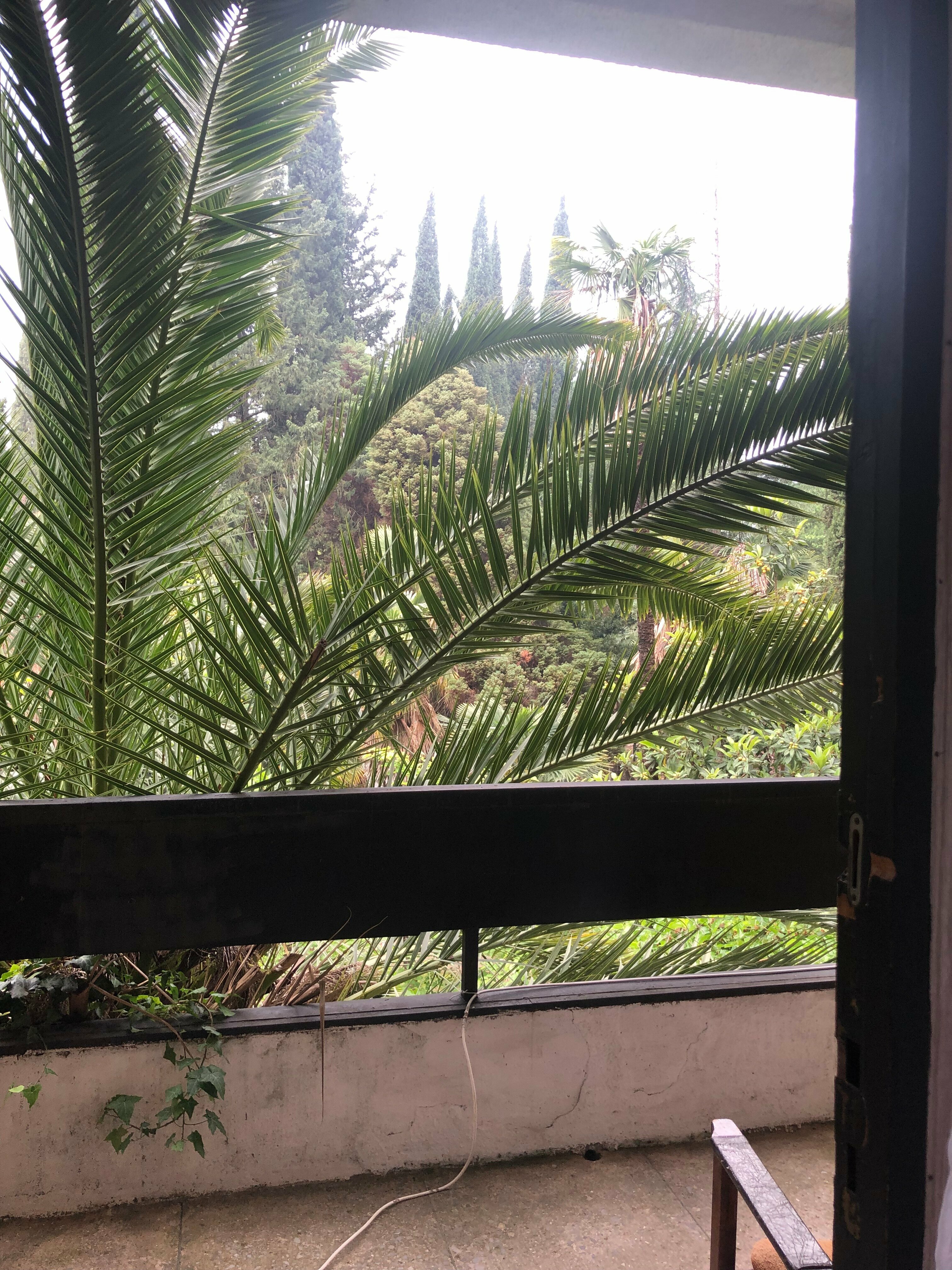 Двухместный номер с 2 отдельными кроватями