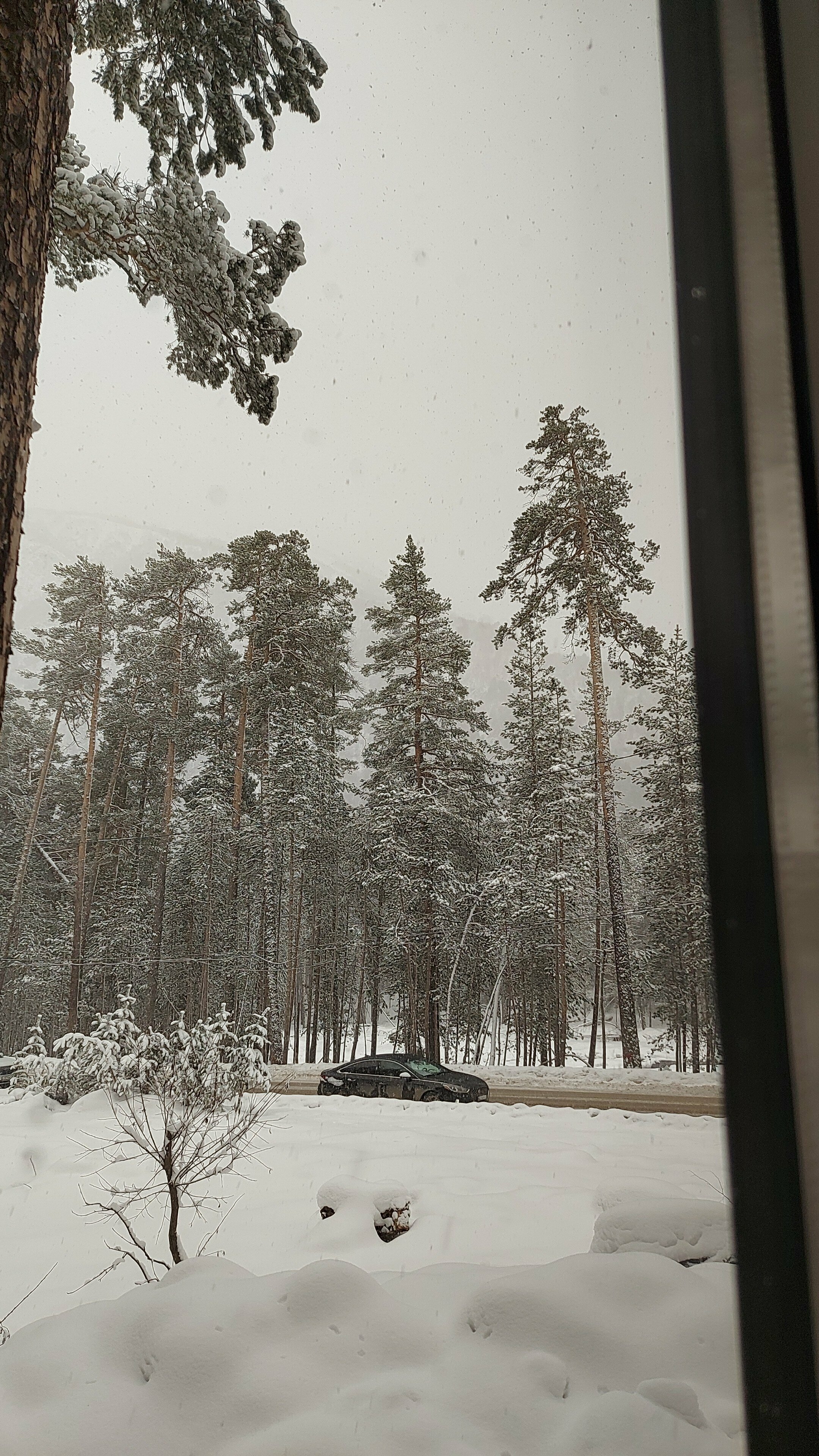 Двухместный номер с 1 кроватью или 2 отдельными кроватями