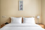 Стандартный двухместный номер с 1 кроватью в Скайпарк Апарт Отель