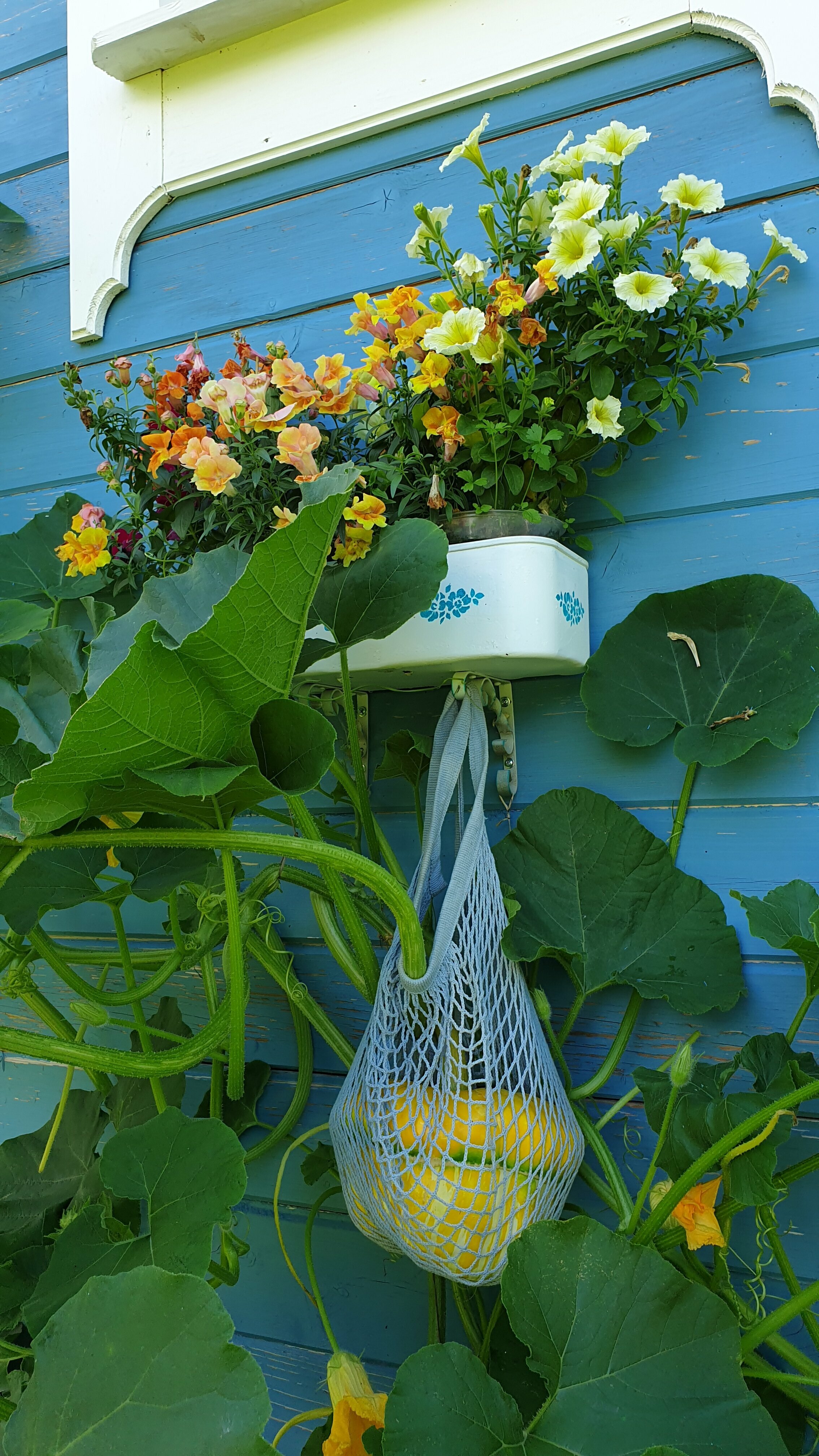 Дом с 1 спальней