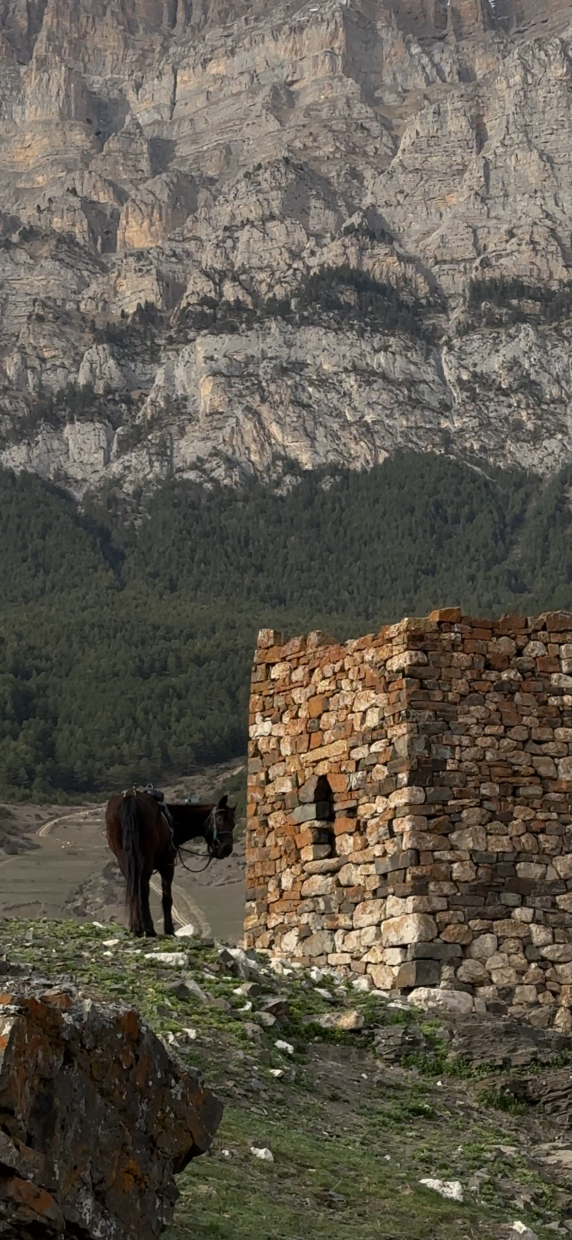 Коттедж с видом на горы