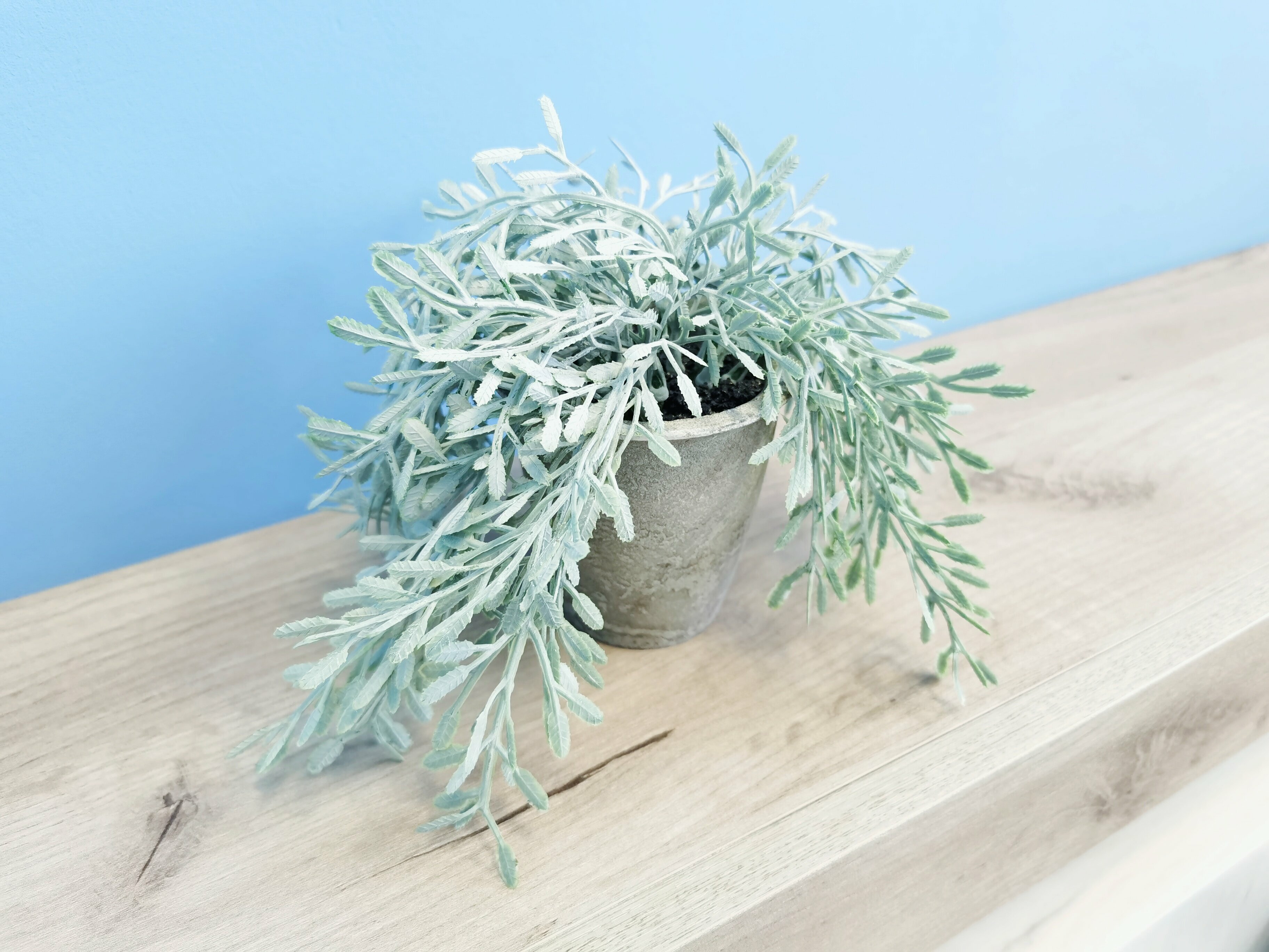 Двухместный номер с 1 кроватью