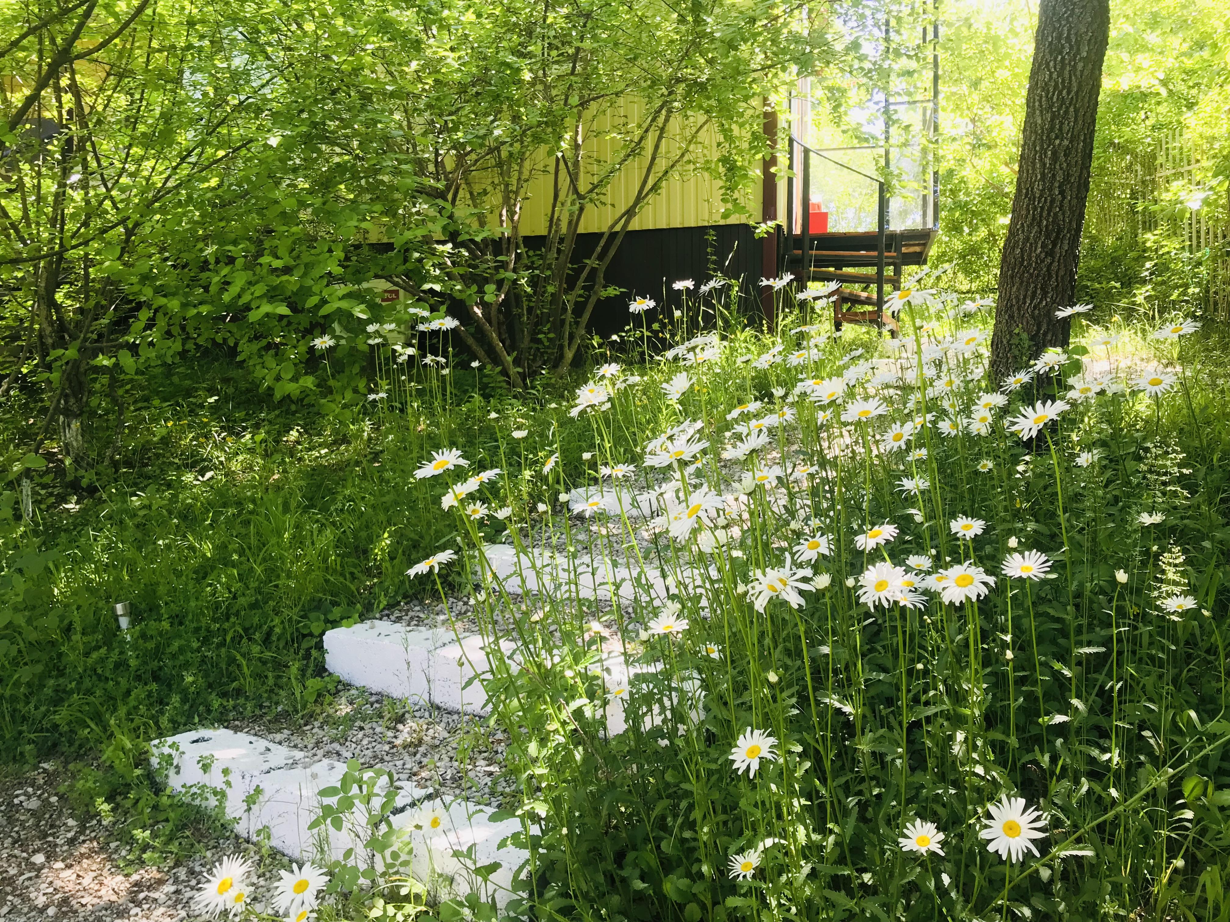 Трехместный номер