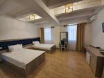 Двухместный бизнес-номер с 1 или 2 кроватями в Suzangaron Hotel