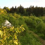Номер с кроватью размера «queen-size» в Глэмпинг СаваКэмп