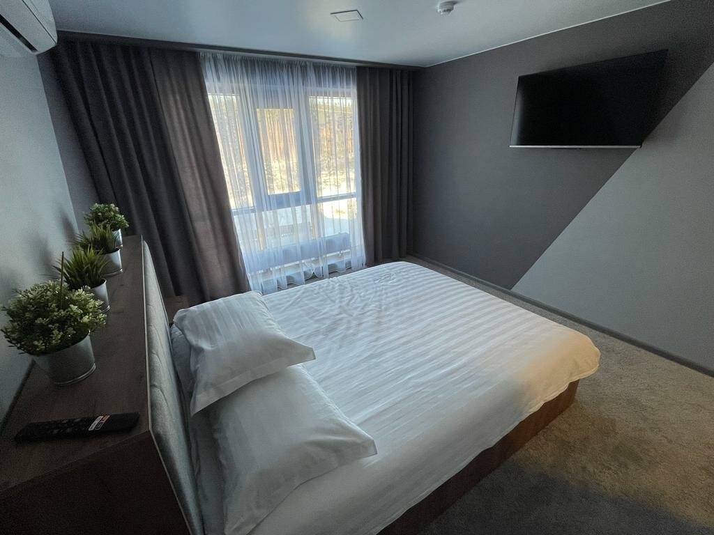 Двухместный номер с 1 кроватью и видом на парк