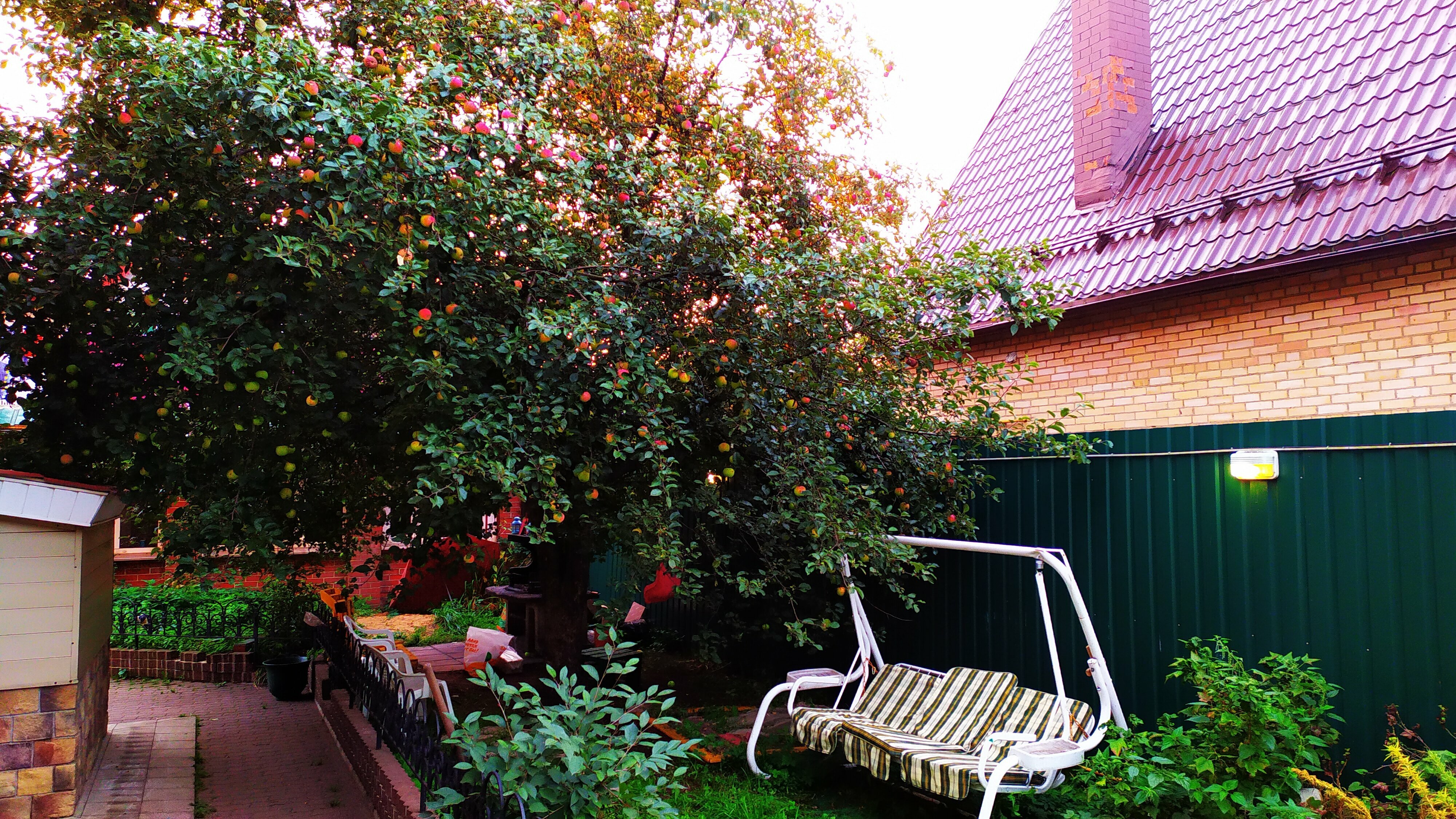 Дом с собственным бассейном