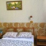 Номер стандарт с 1 двуспальной кроватью в Русский лес