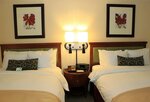 Номер «Делюкс», 2 двуспальные кровати «Квин-сайз», мини-кухня в San Carlos Hotel