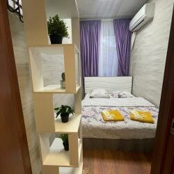1-комнатный номер эконом с 1 двуспальной кроватью в Travel Inn на Пушкинской