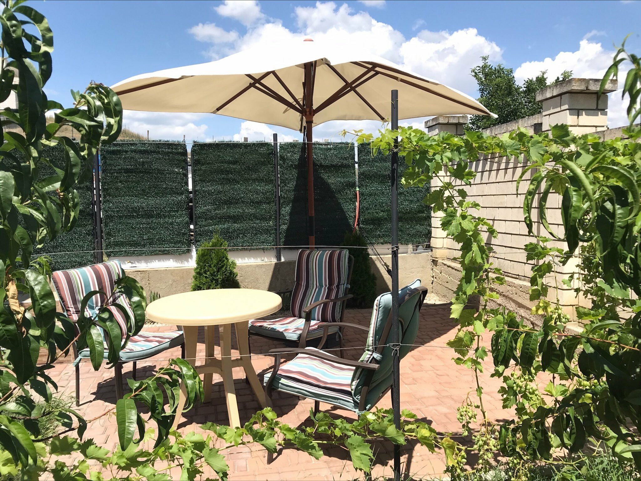 Трехместный номер с террасой