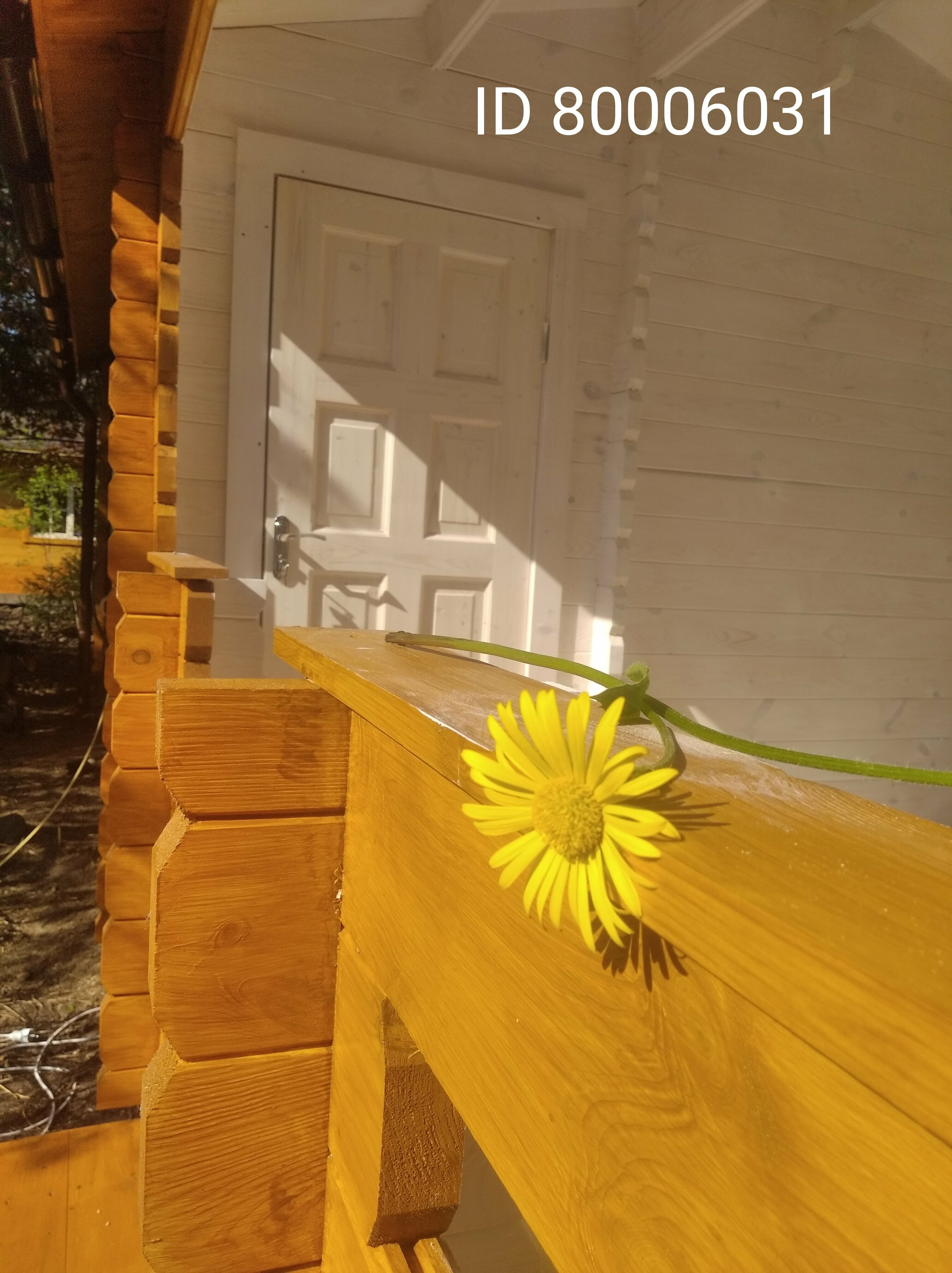 Трехместный номер с террасой