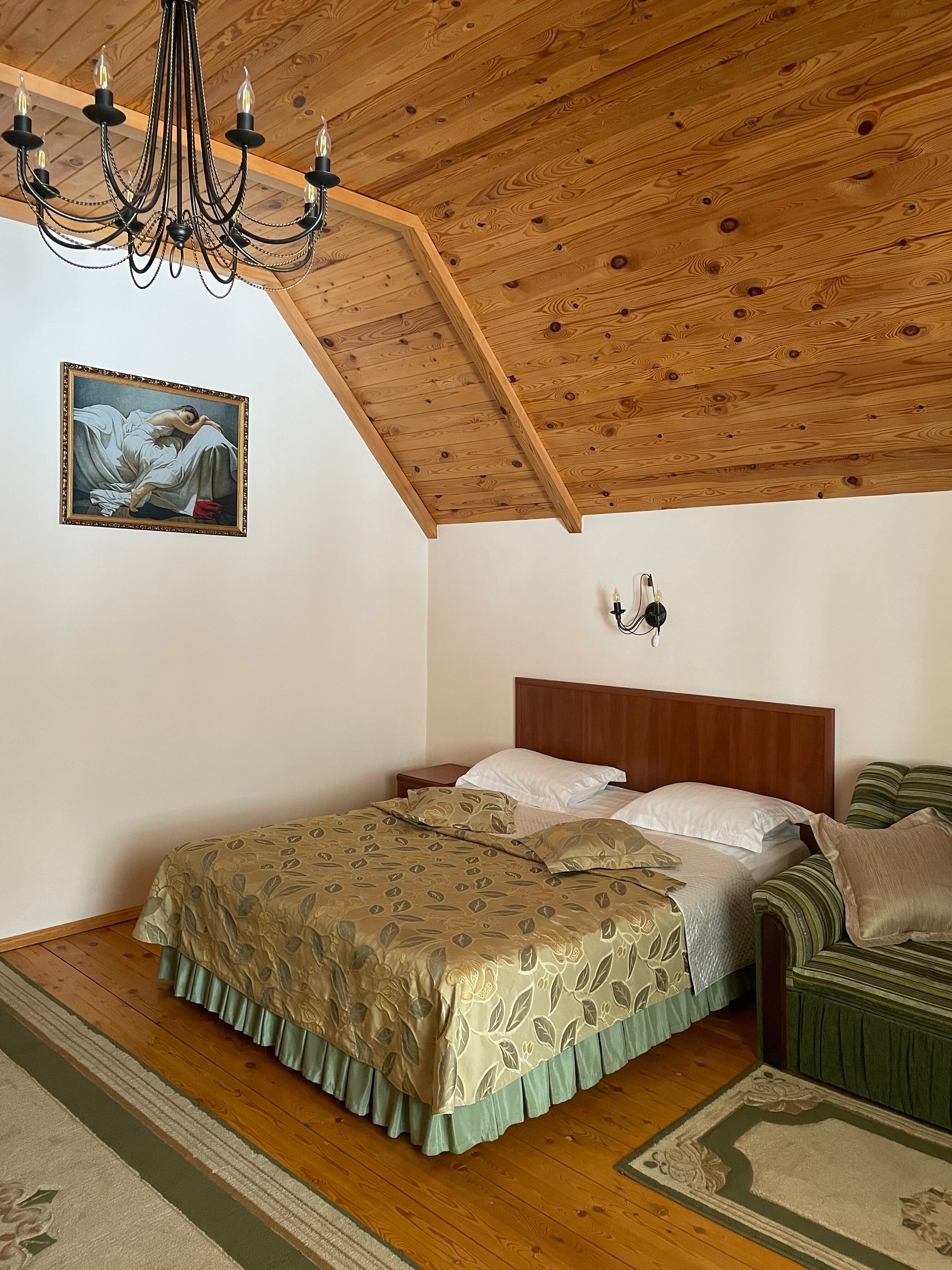 Двухместный номер с 1 кроватью и видом на горы