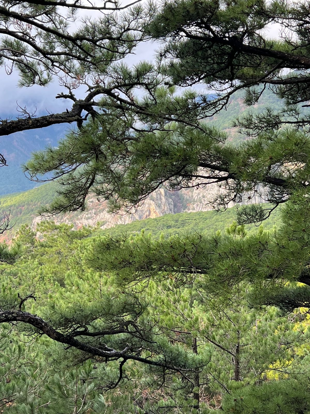 Однокомнатная студия