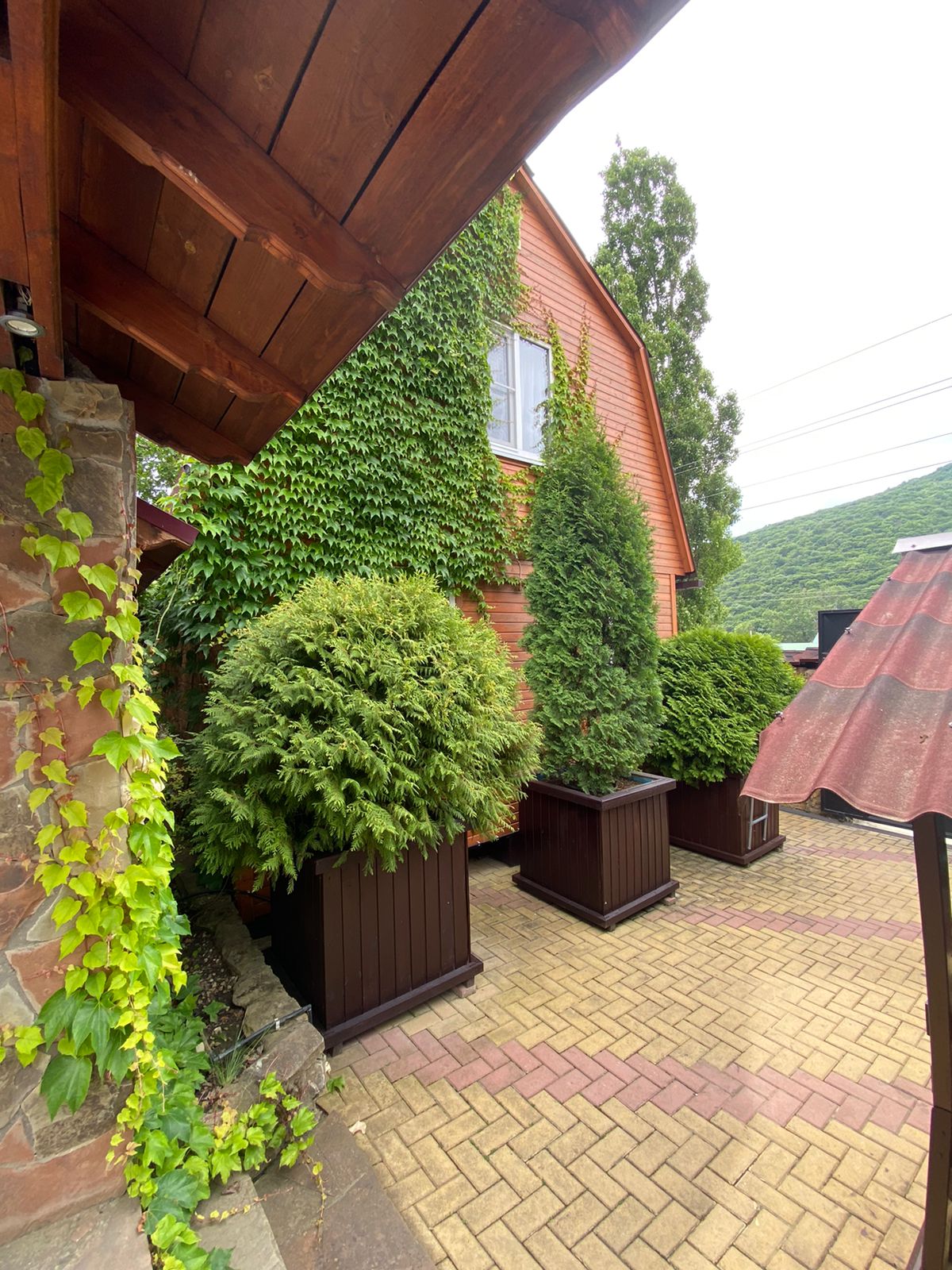 Двухместный номер с 1 кроватью и видом на бассейн