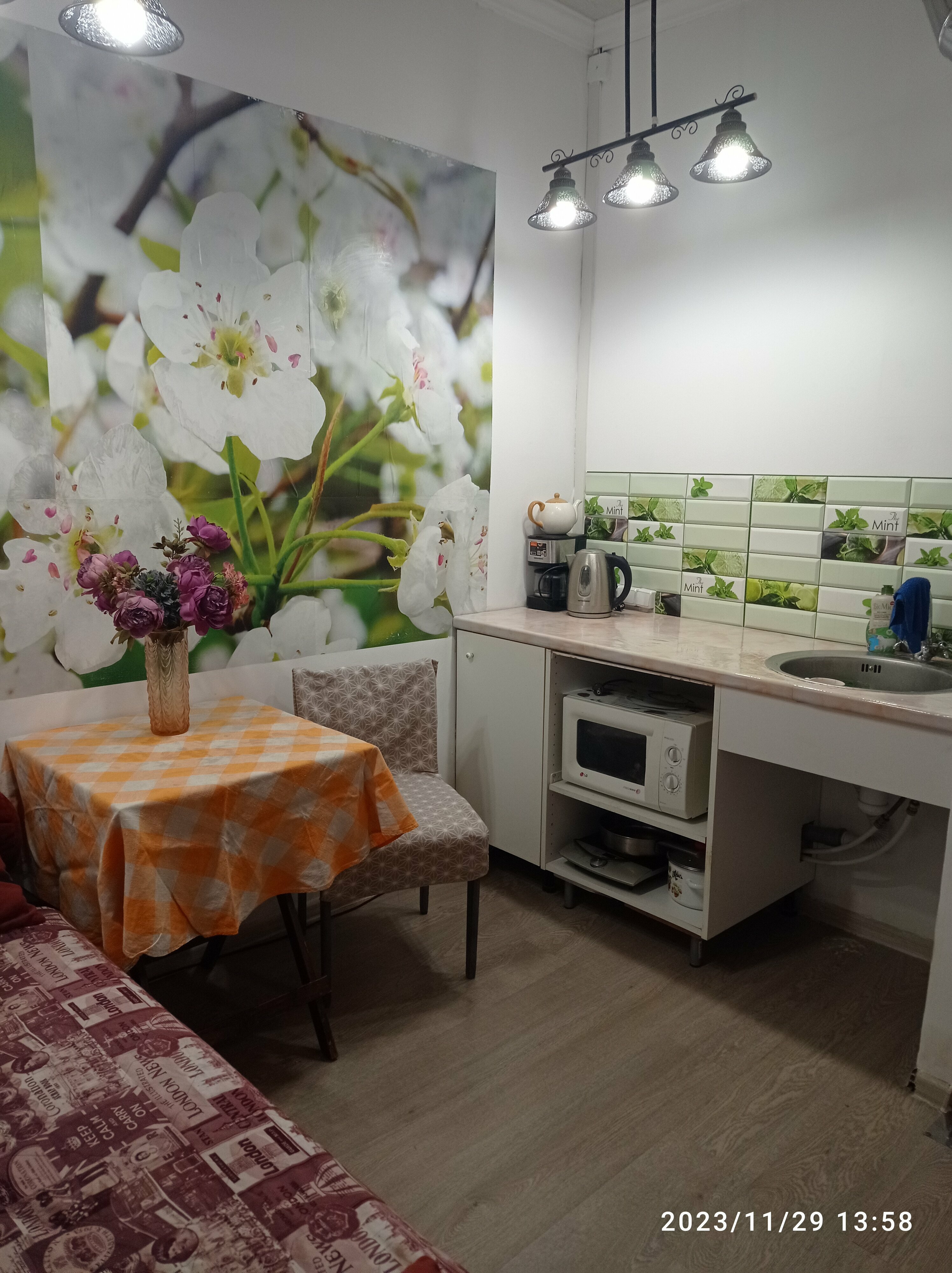 Номер-студия с видом на сад