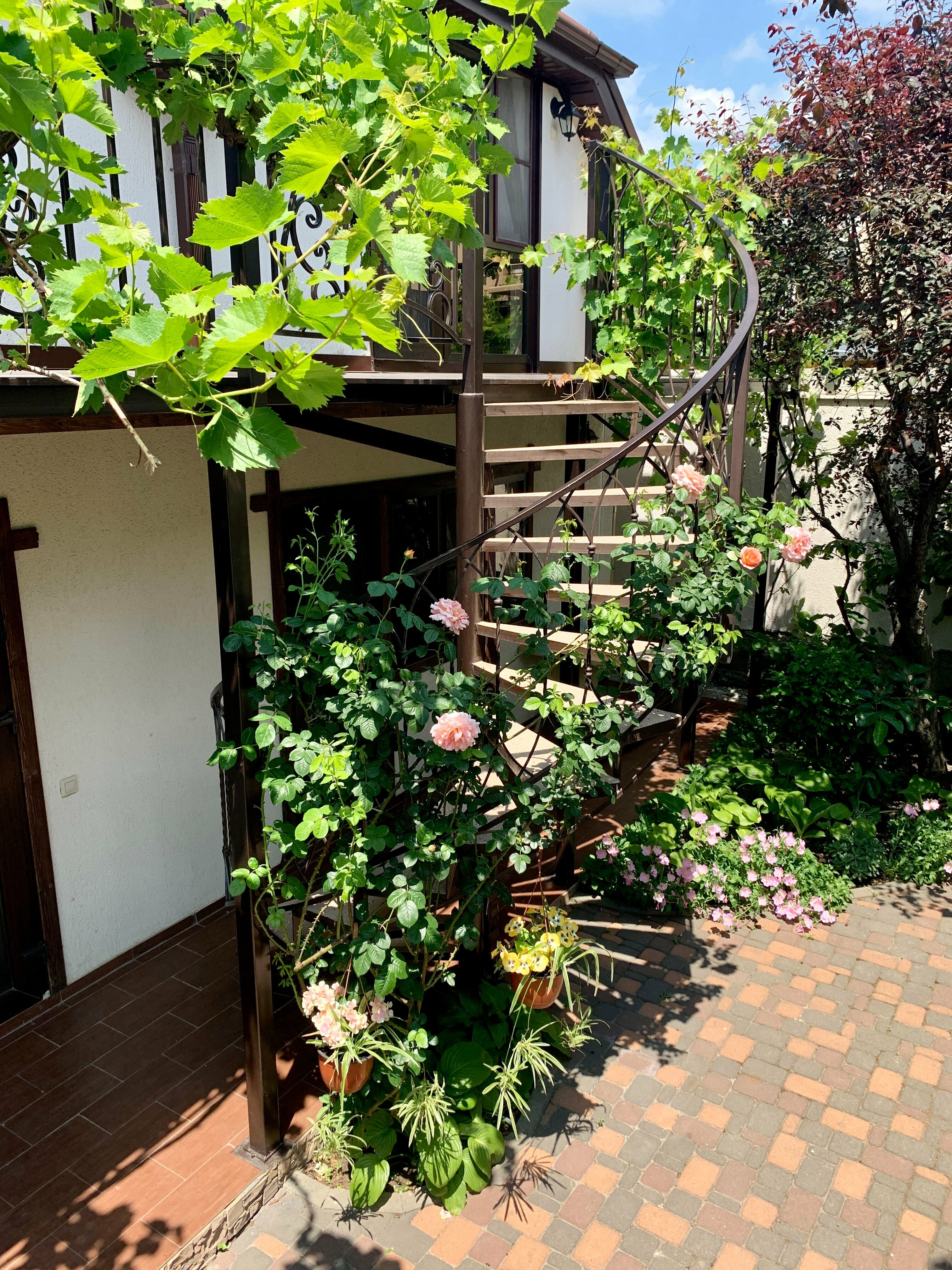 Двухместный номер с 1 кроватью и видом на горы