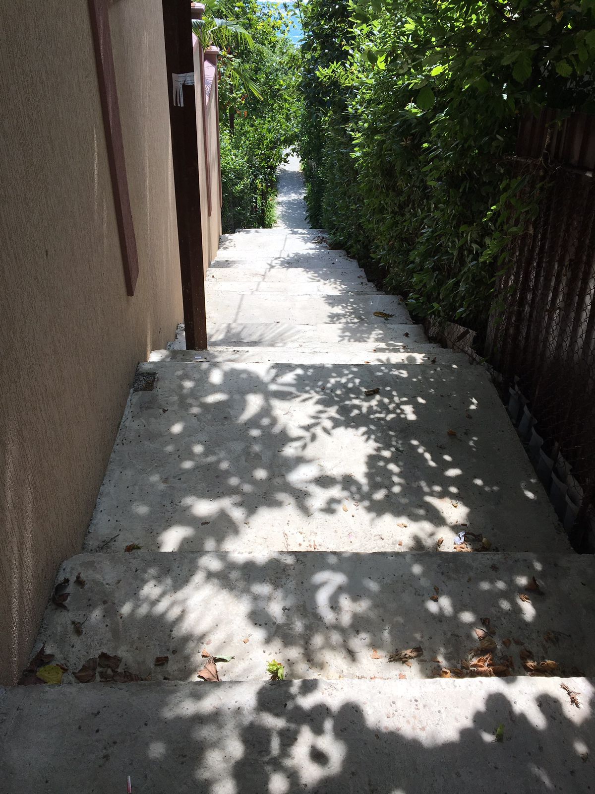 Трехместный номер с видом на море