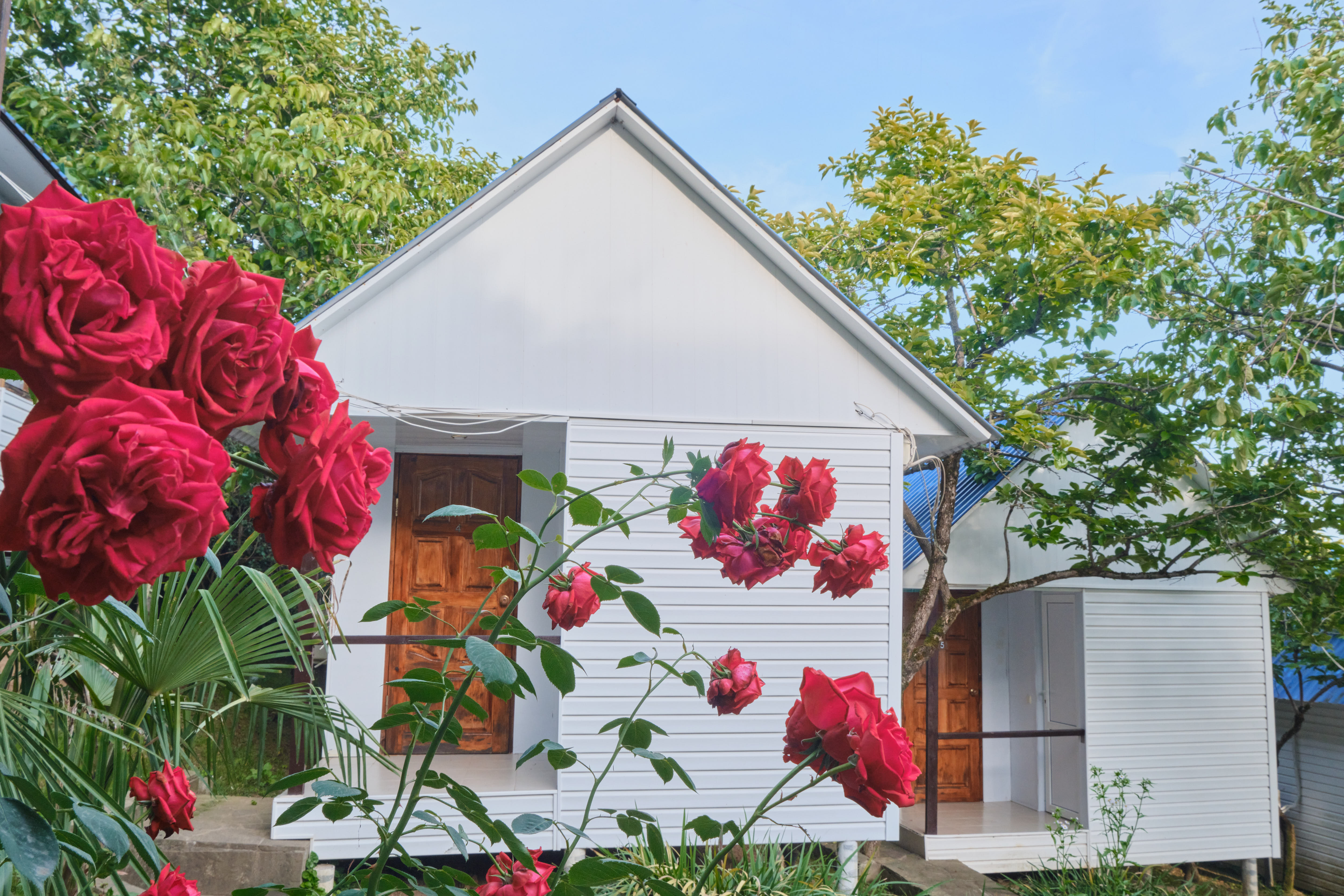 Двухместный номер с 1 кроватью или 2 отдельными кроватями