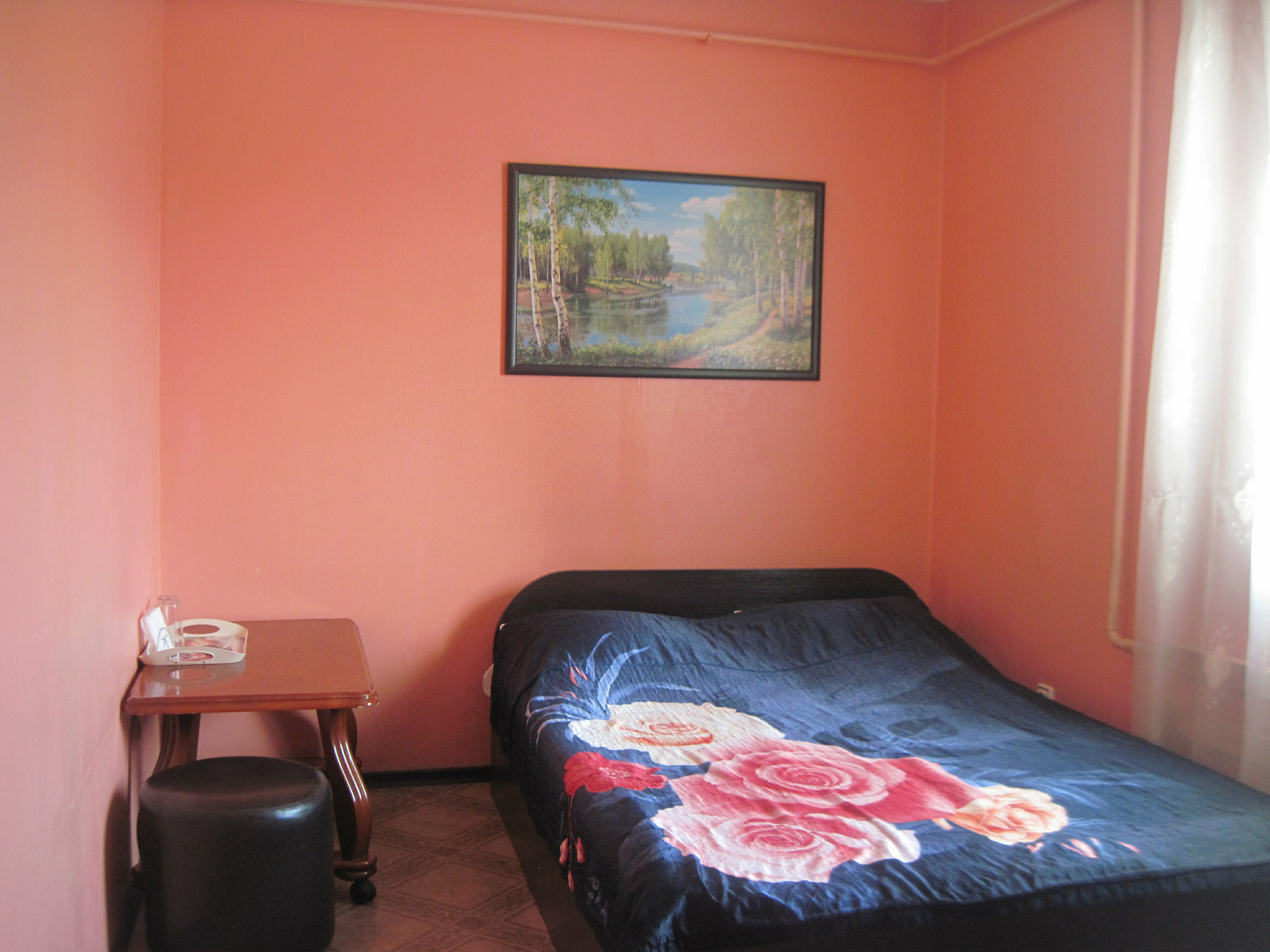 Двухместный номер с 1 кроватью и видом на парк