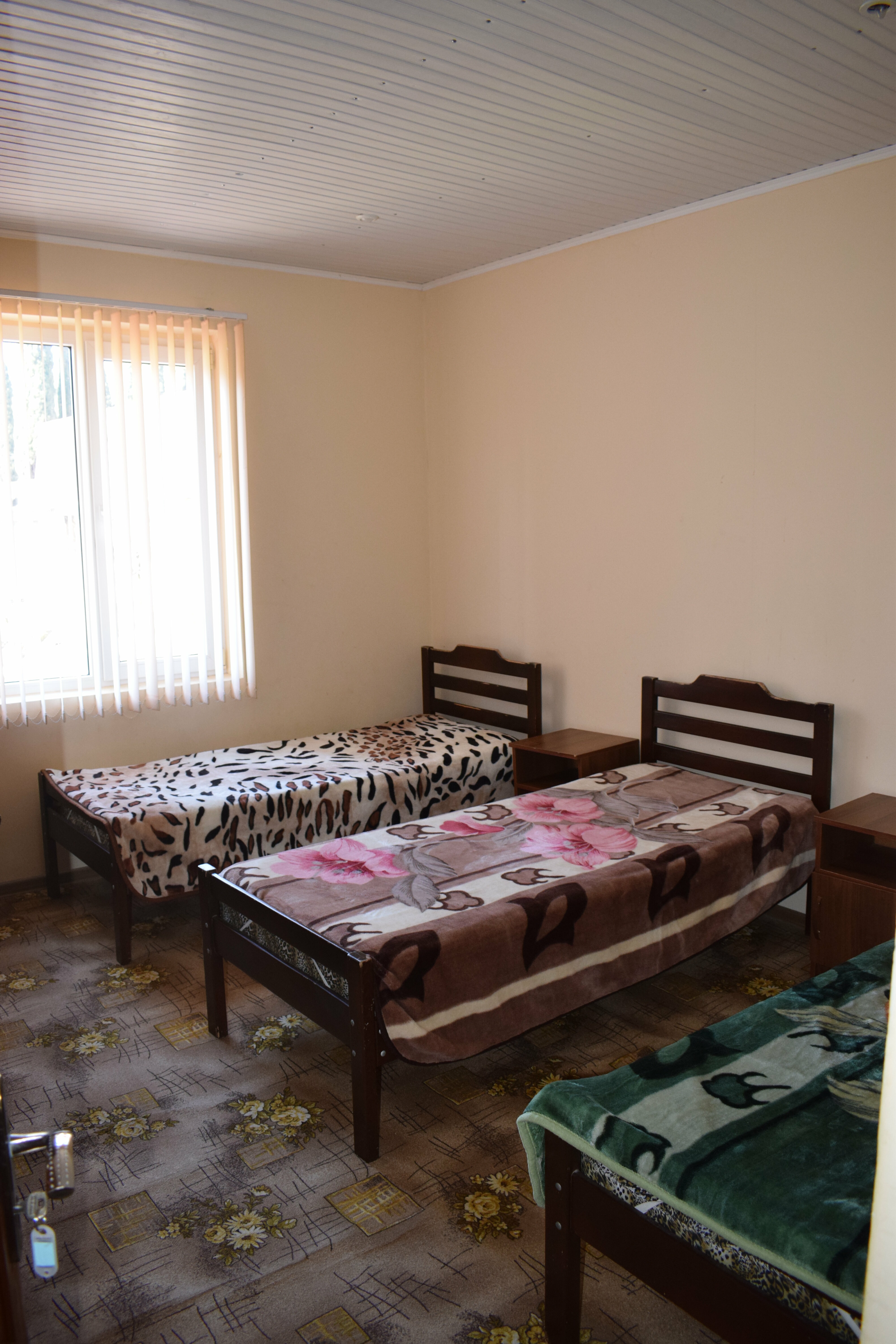 Бюджетный трехместный номер