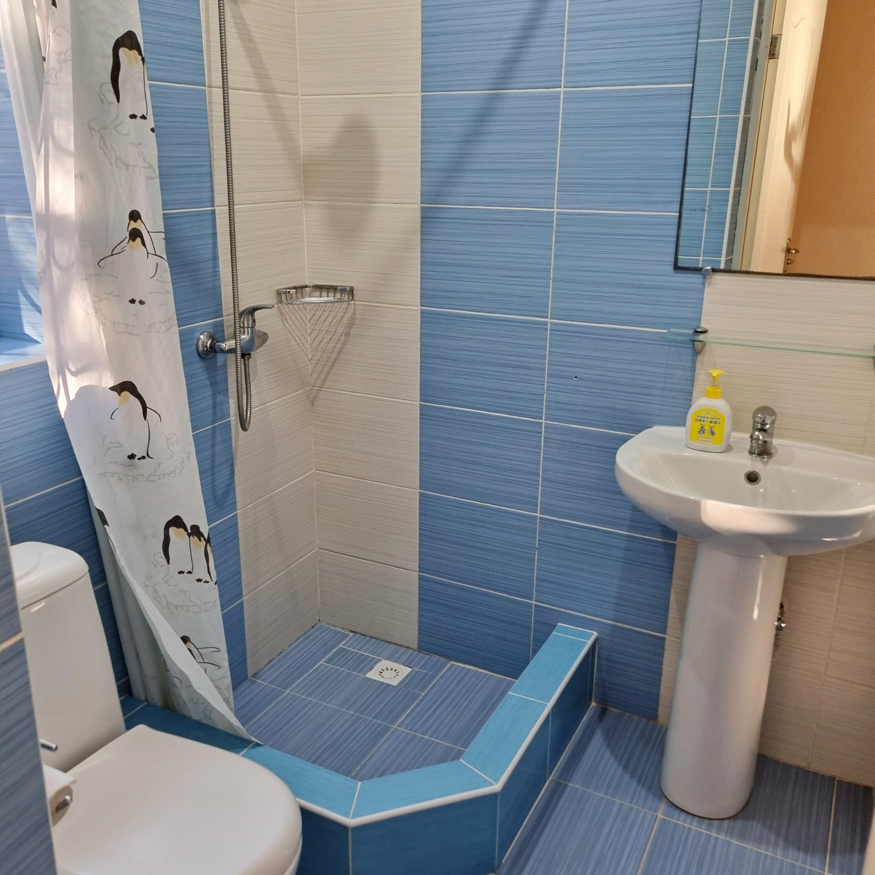 Номер-студия с террасой