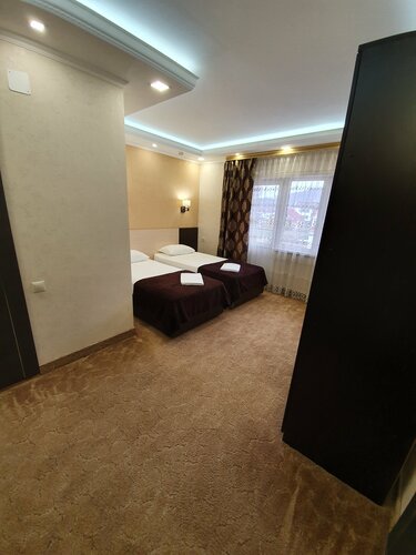 Двухместный номер с 2 отдельными кроватями и балконом