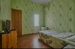 Двухместный номер с 1 кроватью и балконом в Резиденция графов Орловых