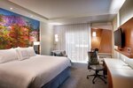 Номер, 1 двуспальная кровать «Кинг-сайз» с диваном-кроватью (Mobility Accessible, Tub) в Courtyard by Marriott Sedona