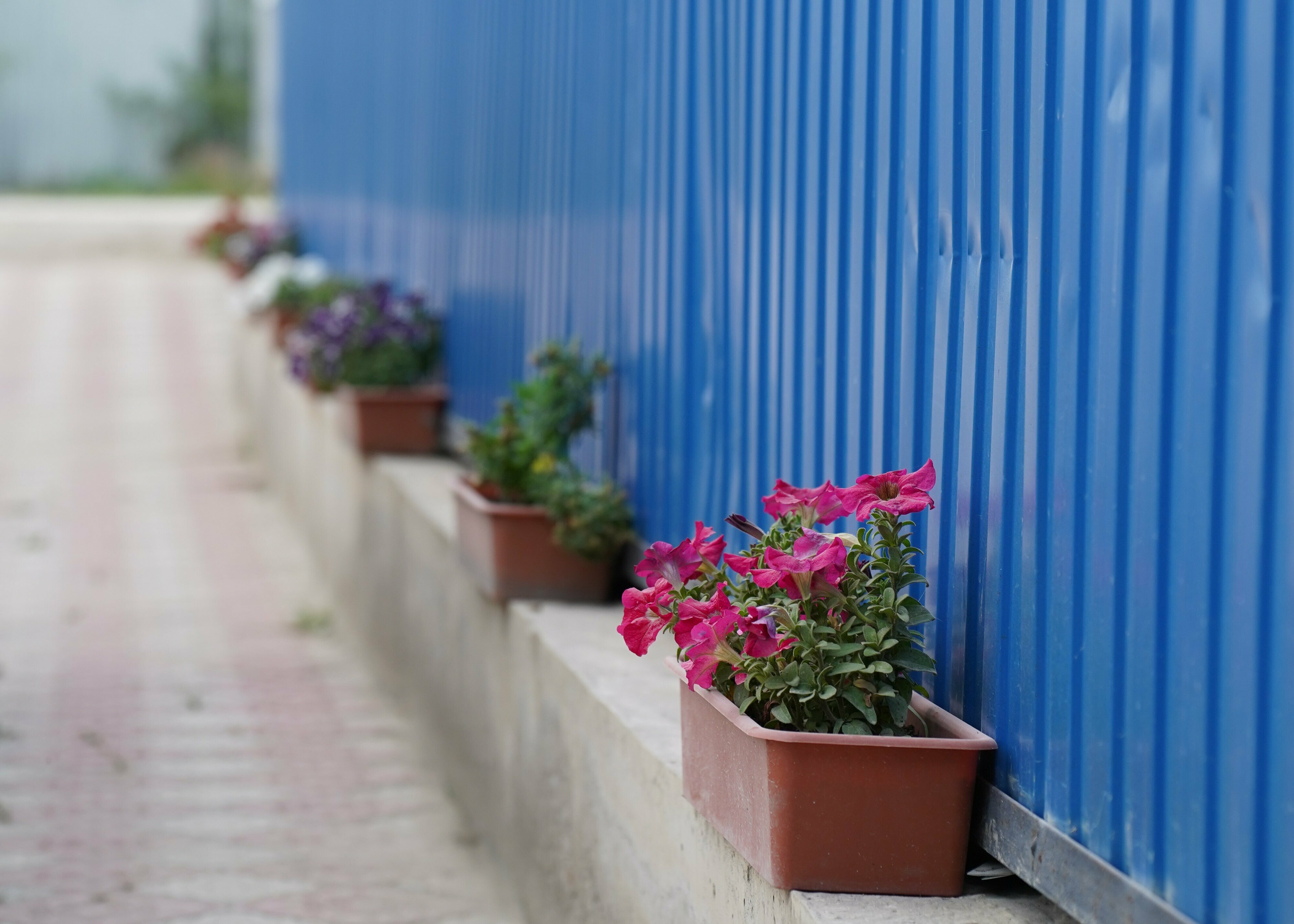 Одноместный номер